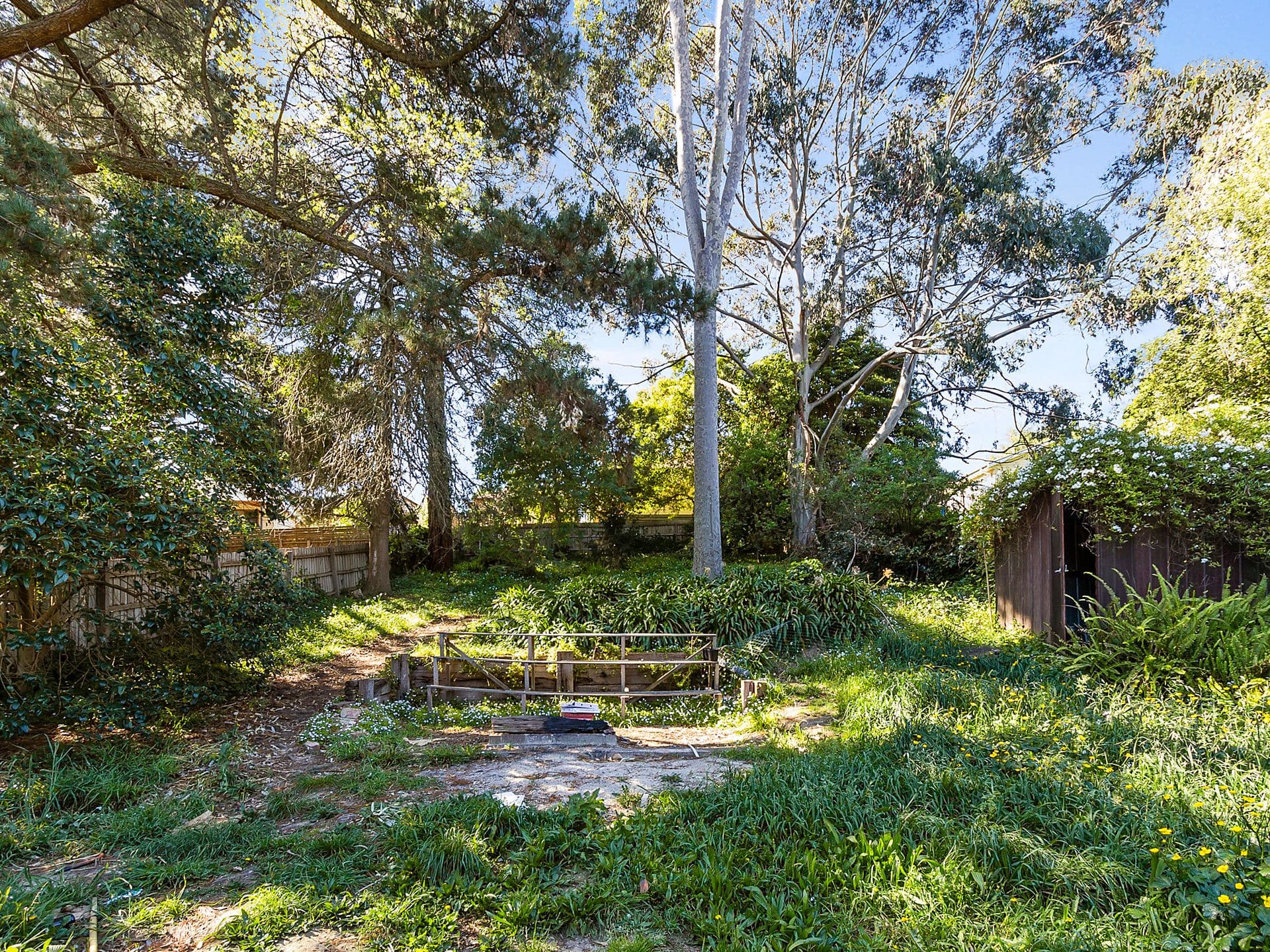 23 Elsie Street, Boronia VIC 3155, Boronia - Thumbnail 6