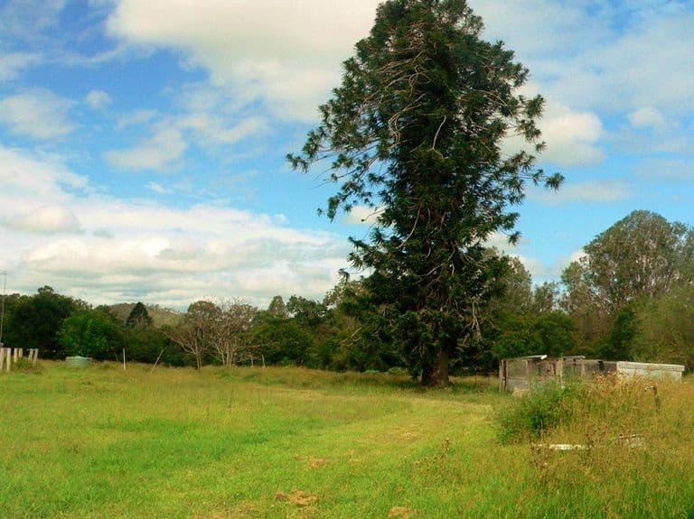8499 D'Aguilar Highway, MOORE QLD 4314, Moore - Thumbnail 6