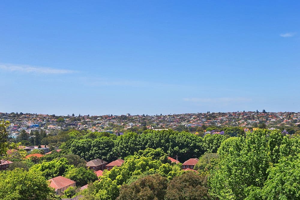 38 Cranbrook Road, Bellevue Hill - Thumbnail 6