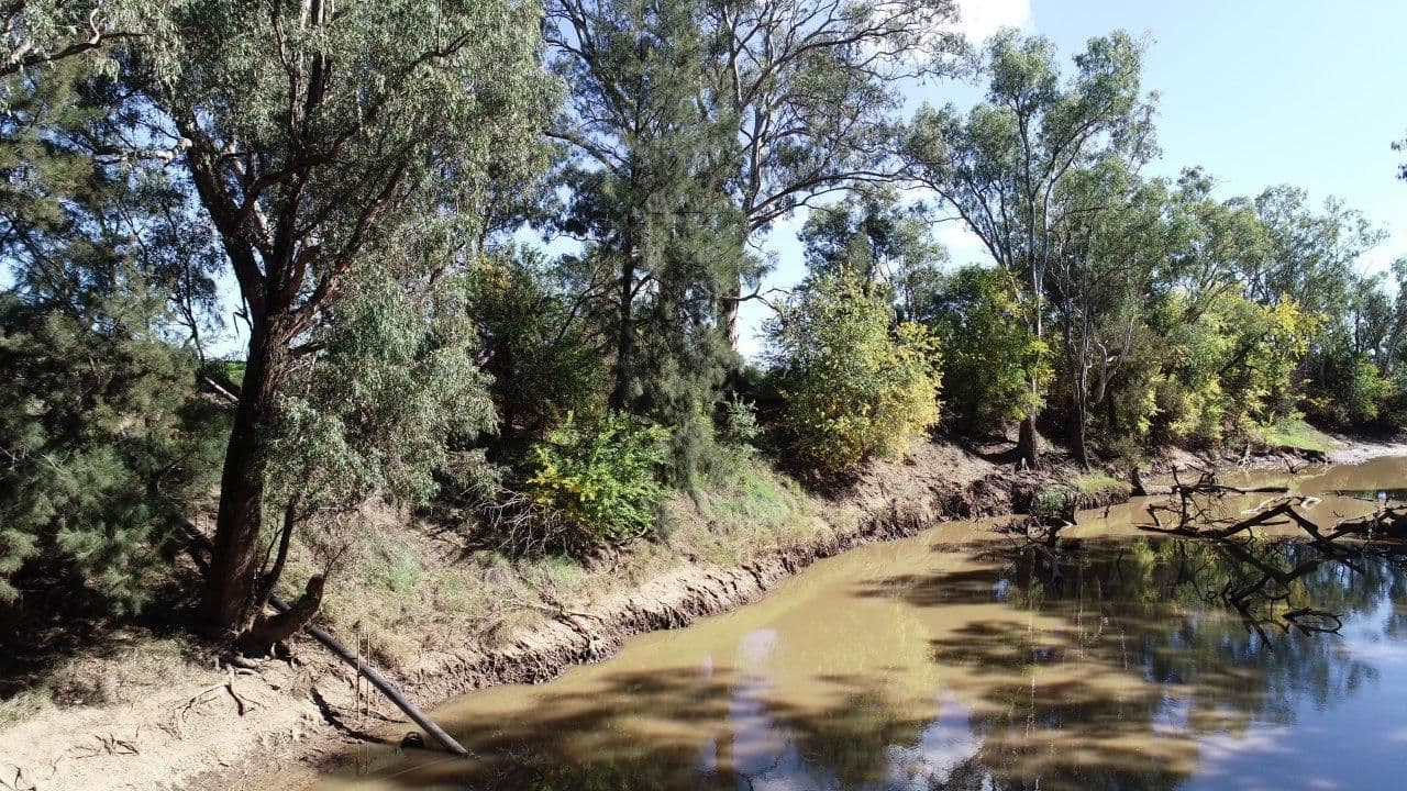 22 College Road, Forbes NSW 2871, Forbes - Image 1
