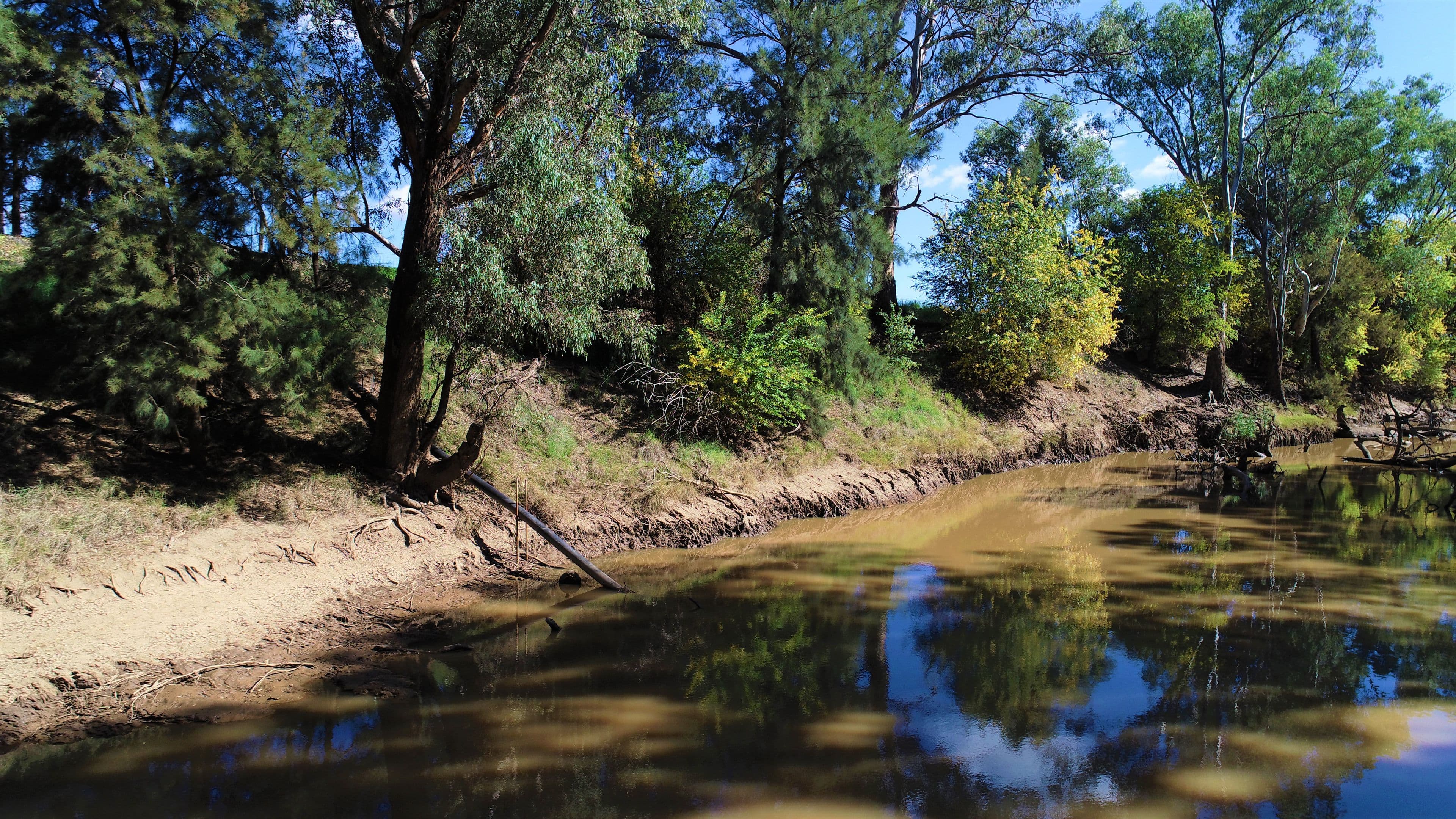 22 College Road, Forbes NSW 2871, Forbes - Thumbnail 2