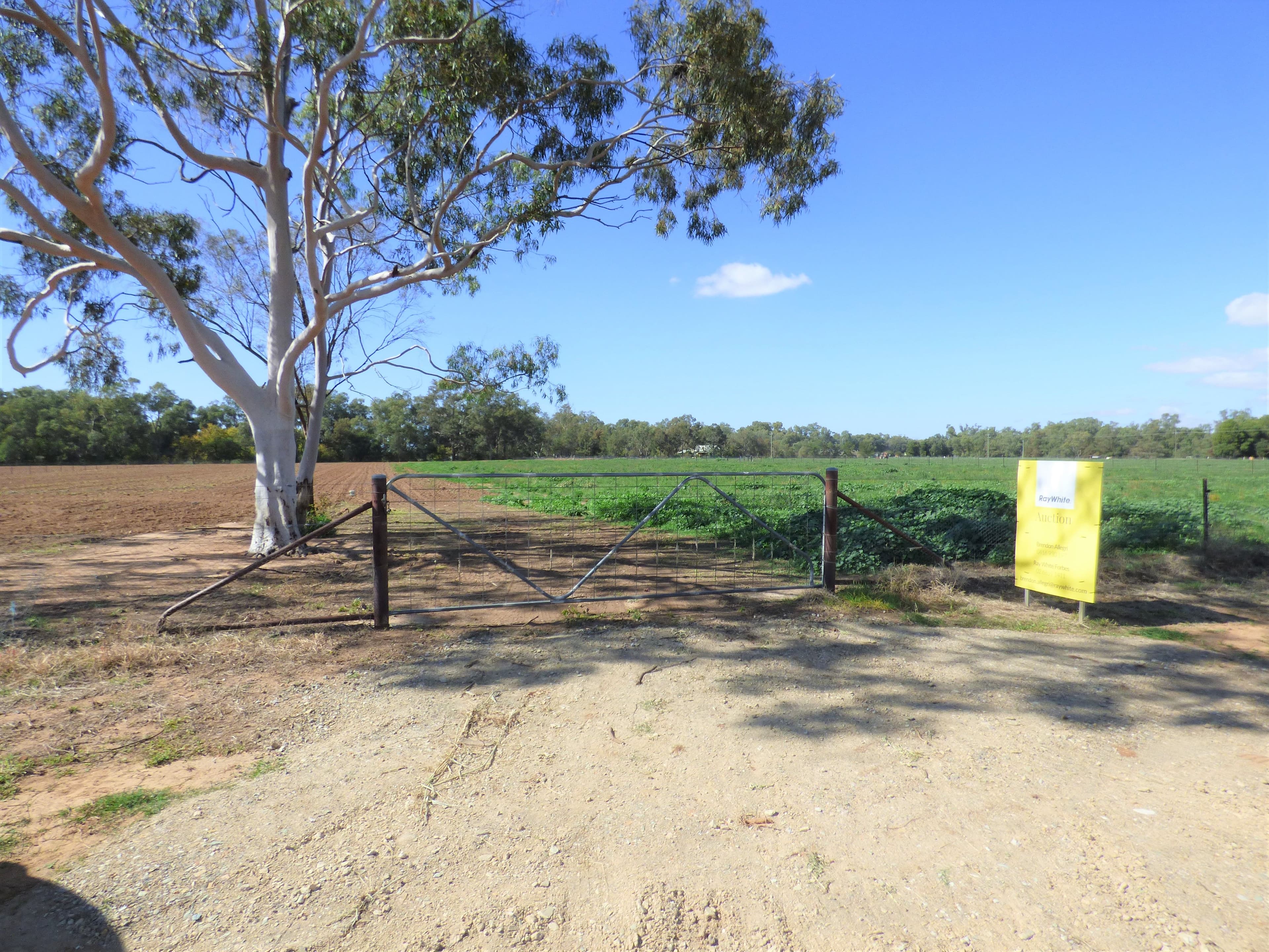 22 College Road, Forbes NSW 2871, Forbes - Thumbnail 4