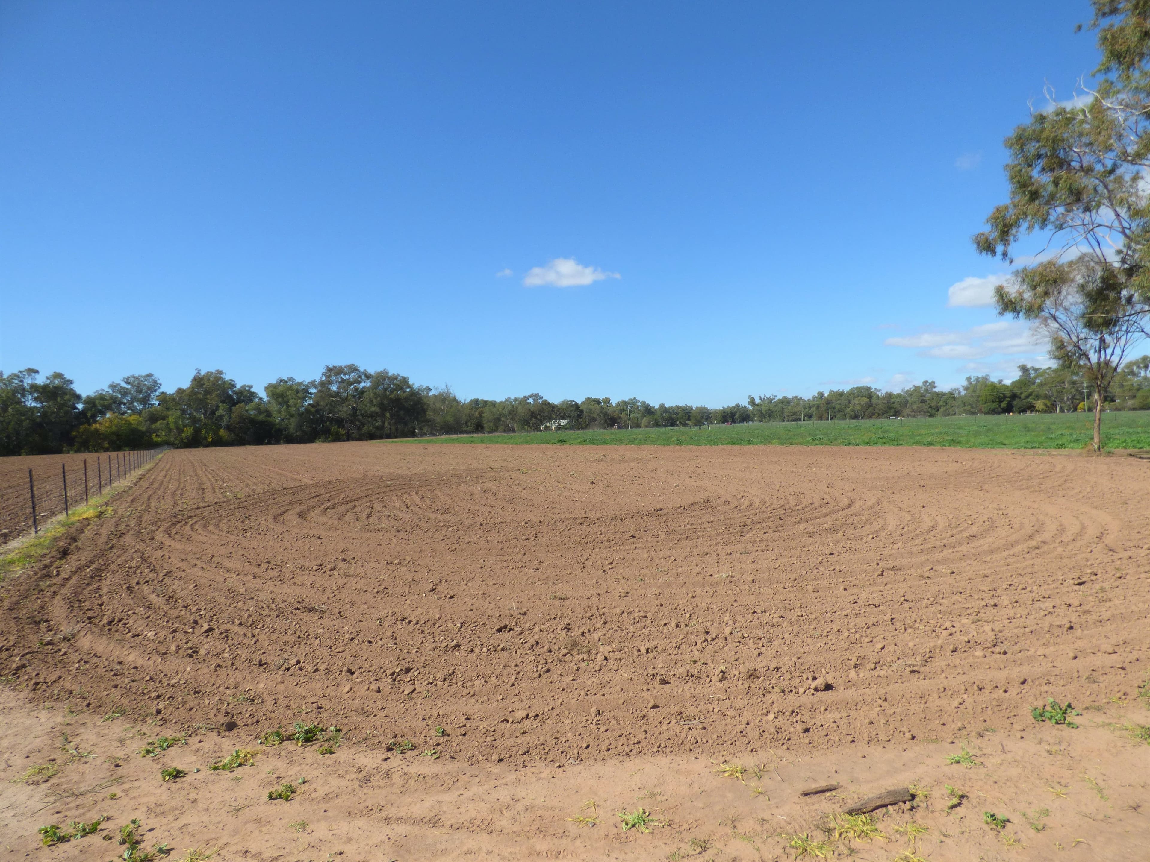 22 College Road, Forbes NSW 2871, Forbes - Thumbnail 6