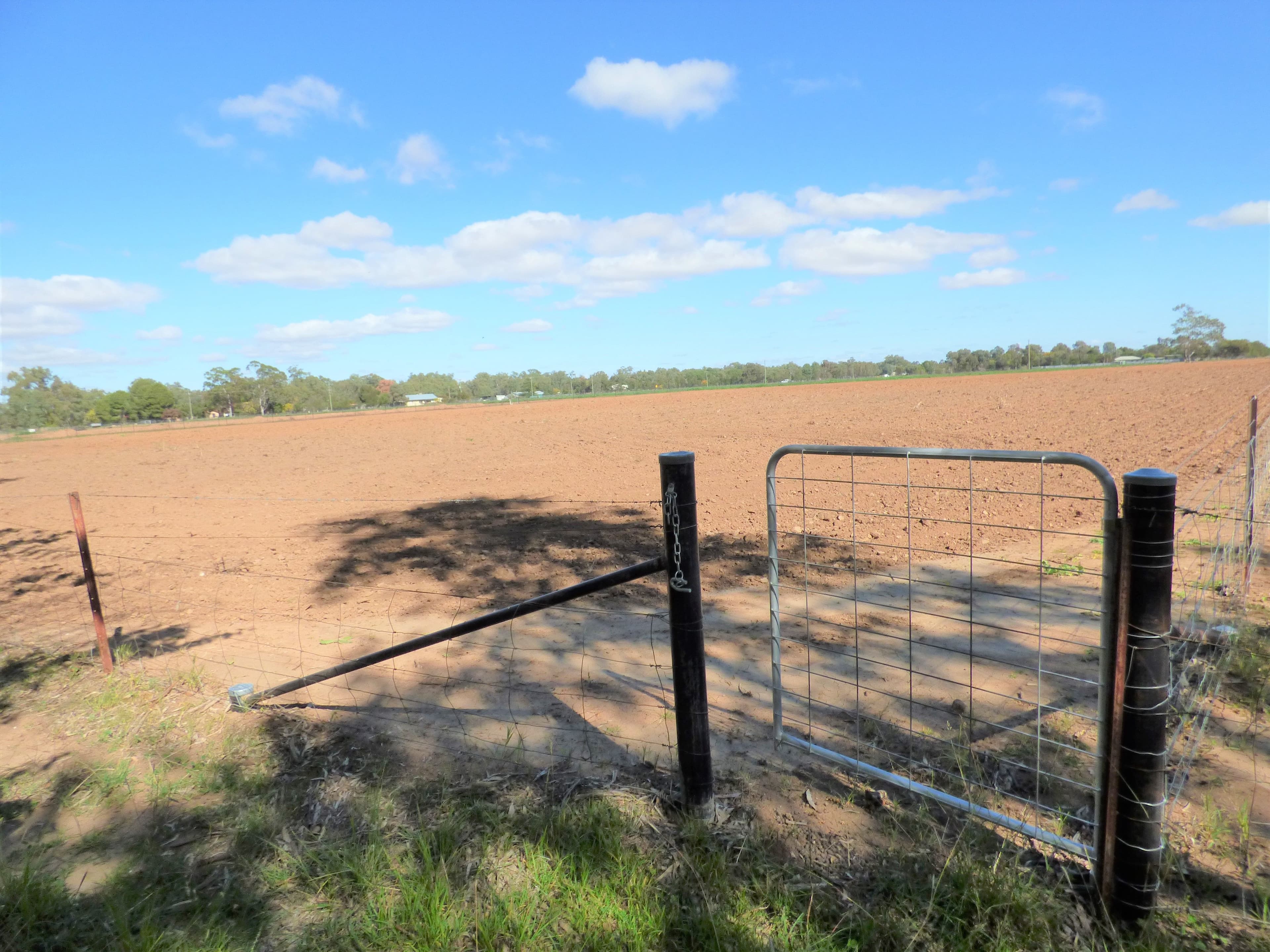 22 College Road, Forbes NSW 2871, Forbes - Thumbnail 7