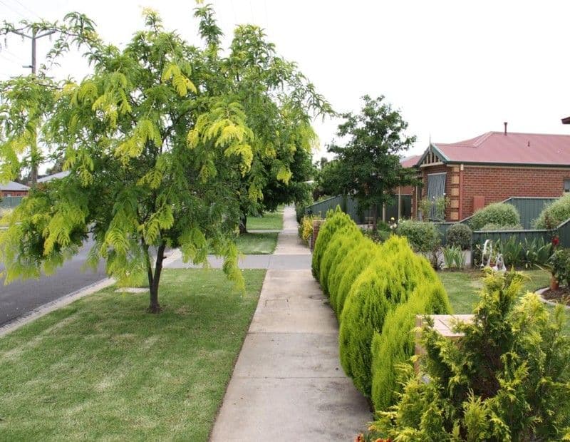32 Lobb Street, NORTH BENDIGO VIC 3550, North Bendigo - Thumbnail 4