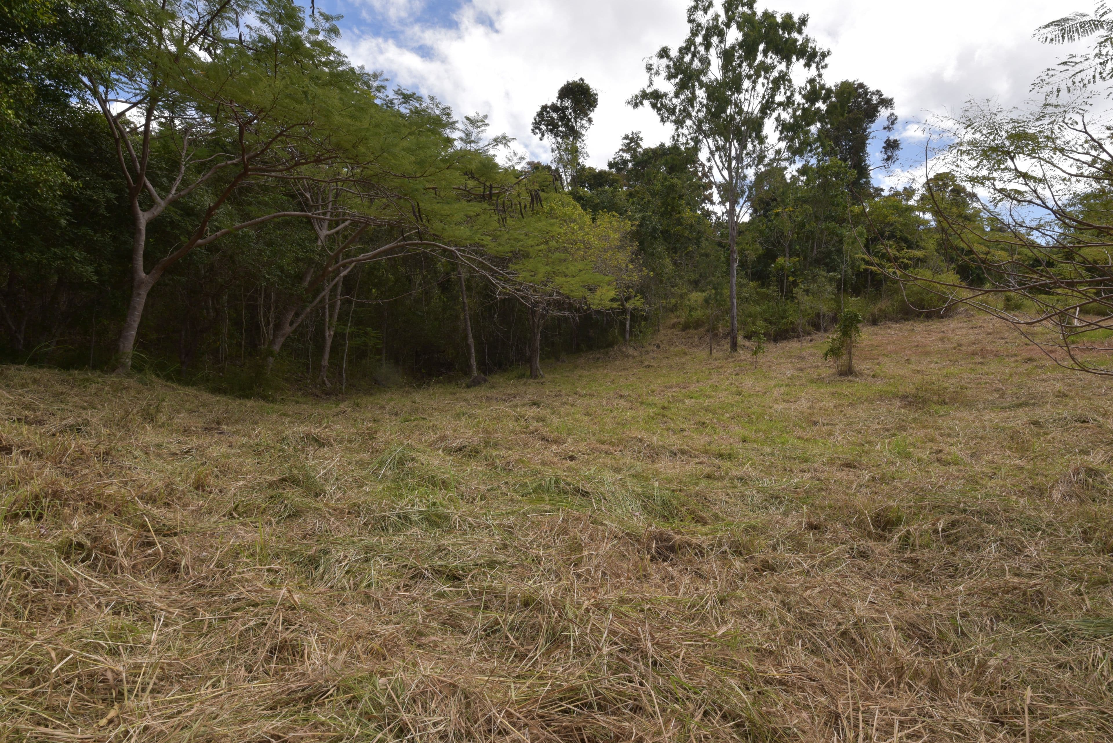 Lot 72 Paluma Road, Cannonvale QLD 4802, Cannonvale - Image 1