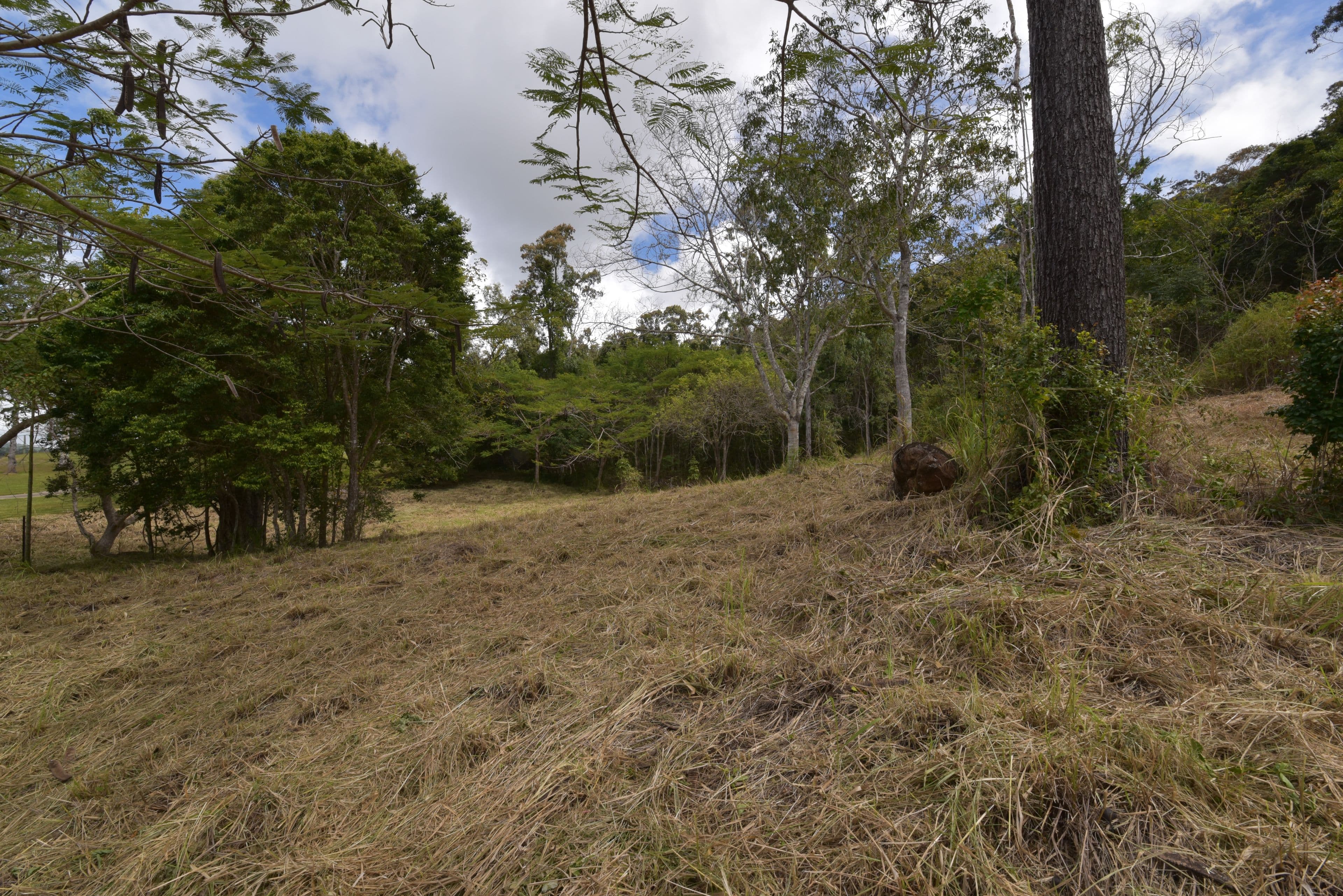 Lot 72 Paluma Road, Cannonvale QLD 4802, Cannonvale - Thumbnail 4