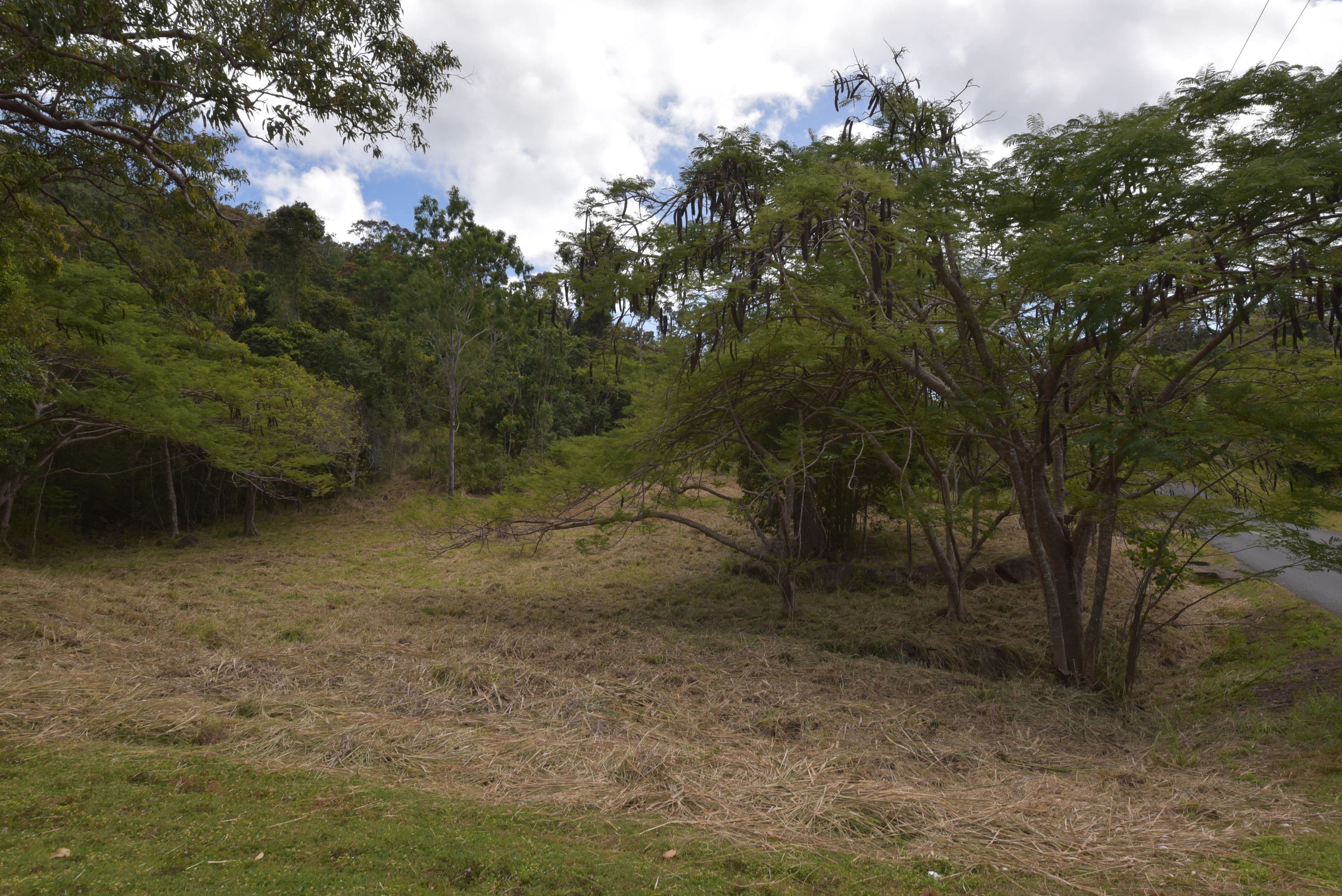 Lot 72 Paluma Road, Cannonvale QLD 4802, Cannonvale - Thumbnail 5