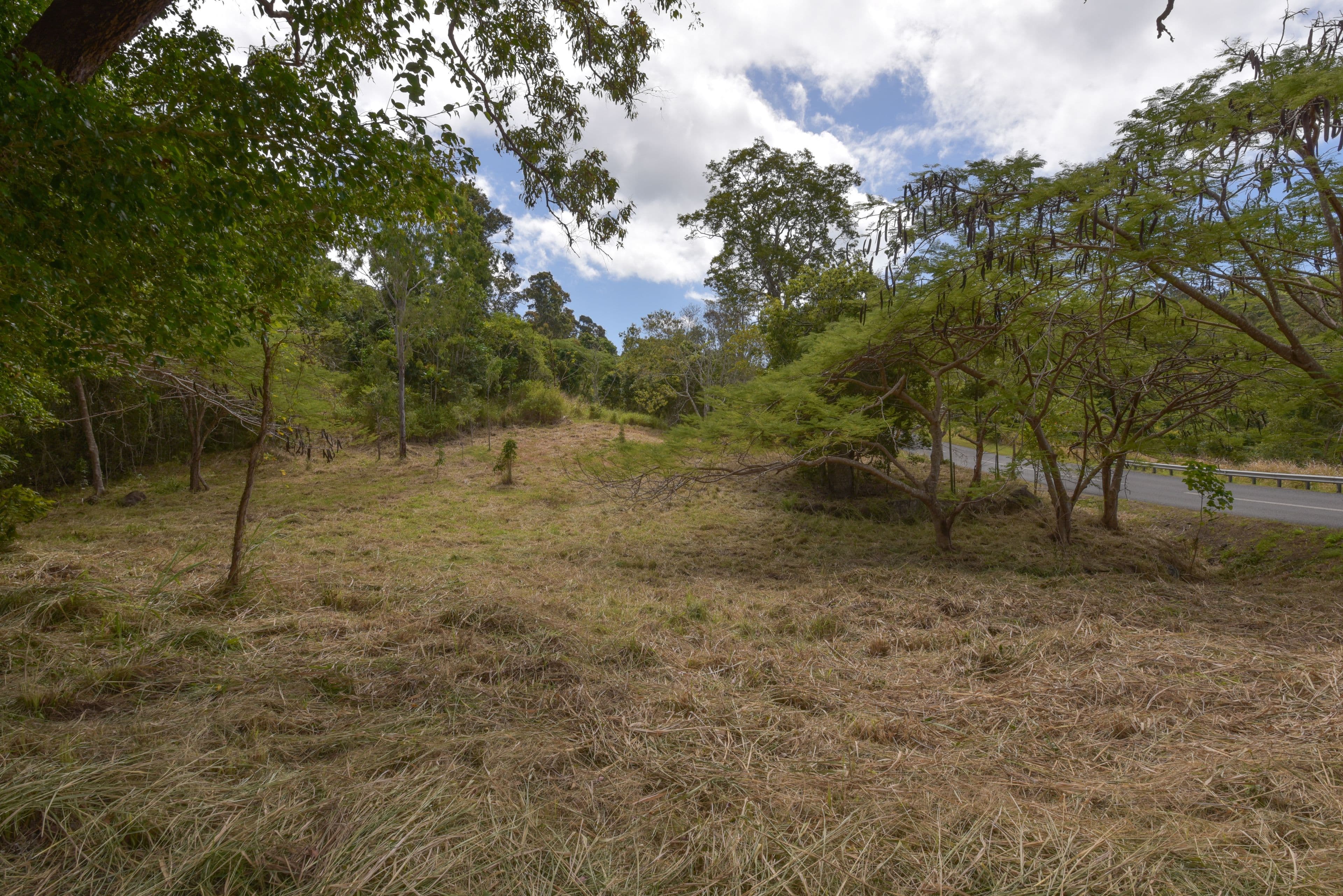 Lot 72 Paluma Road, Cannonvale QLD 4802, Cannonvale - Thumbnail 6