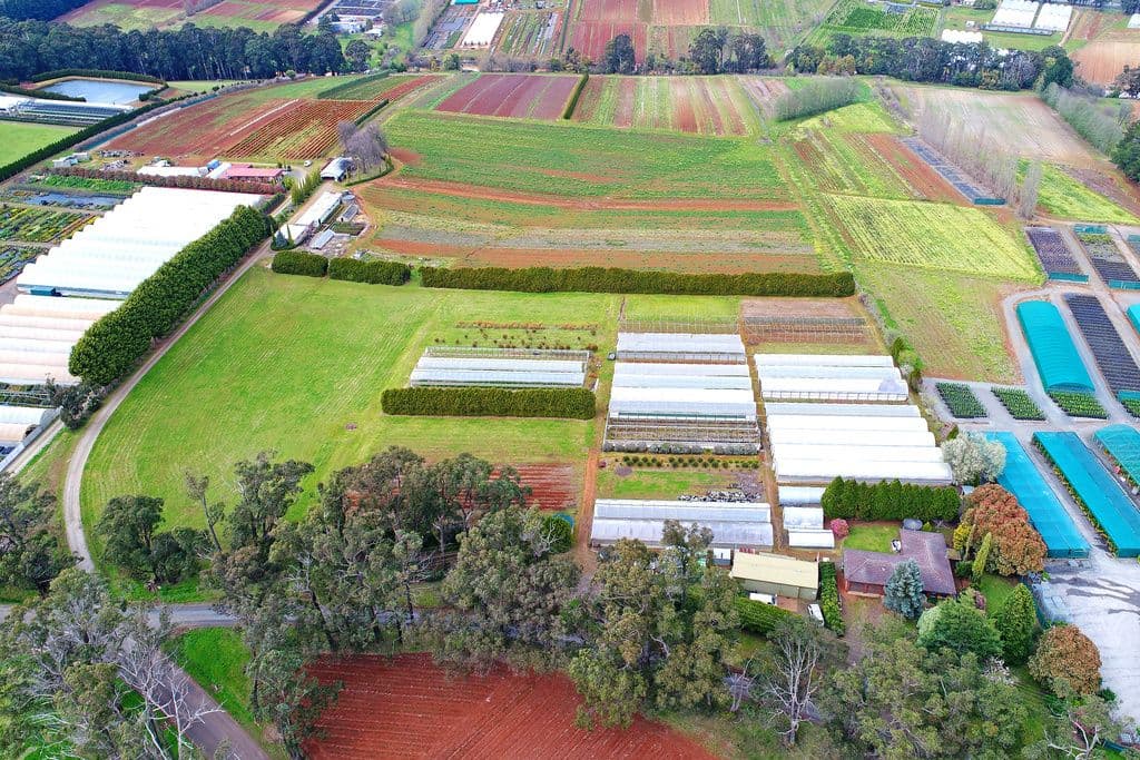 16 Wiseman Road, Silvan VIC 3795, Silvan - Thumbnail 3