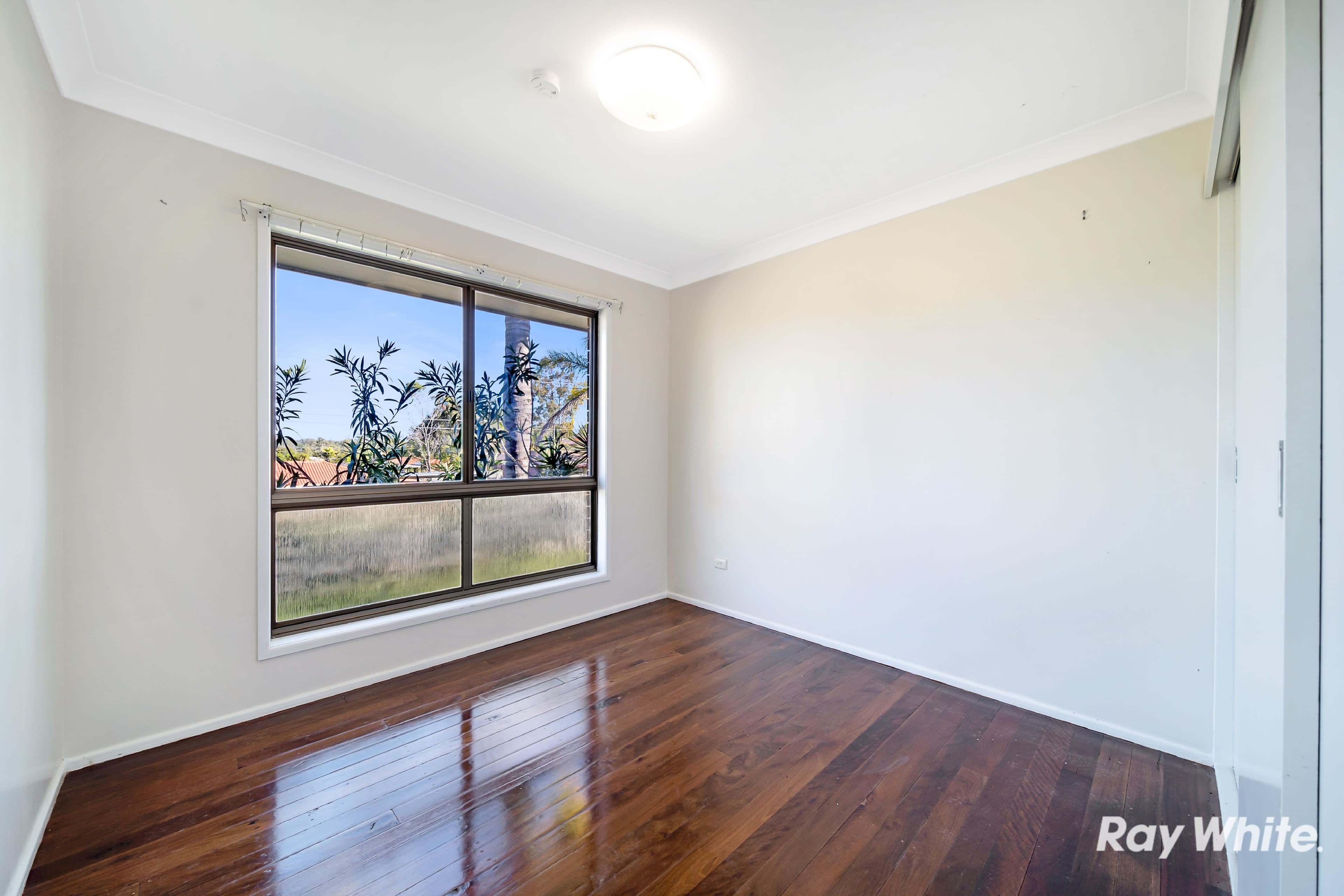 34 Dracon Street, Regents Park QLD 4118, Regents Park - Thumbnail 4