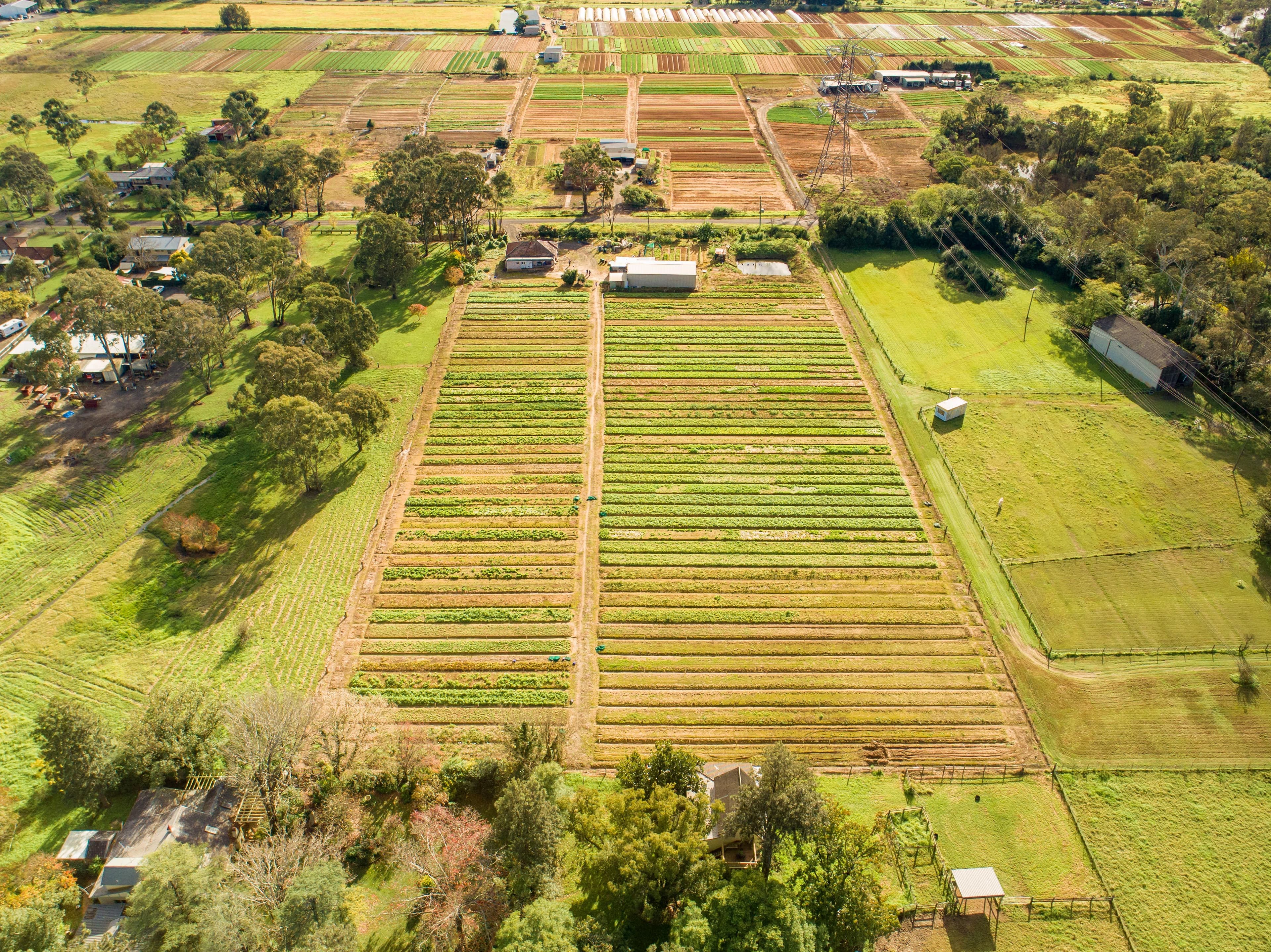 207 Sixth Avenue, Llandilo NSW 2747, Llandilo - Thumbnail 2