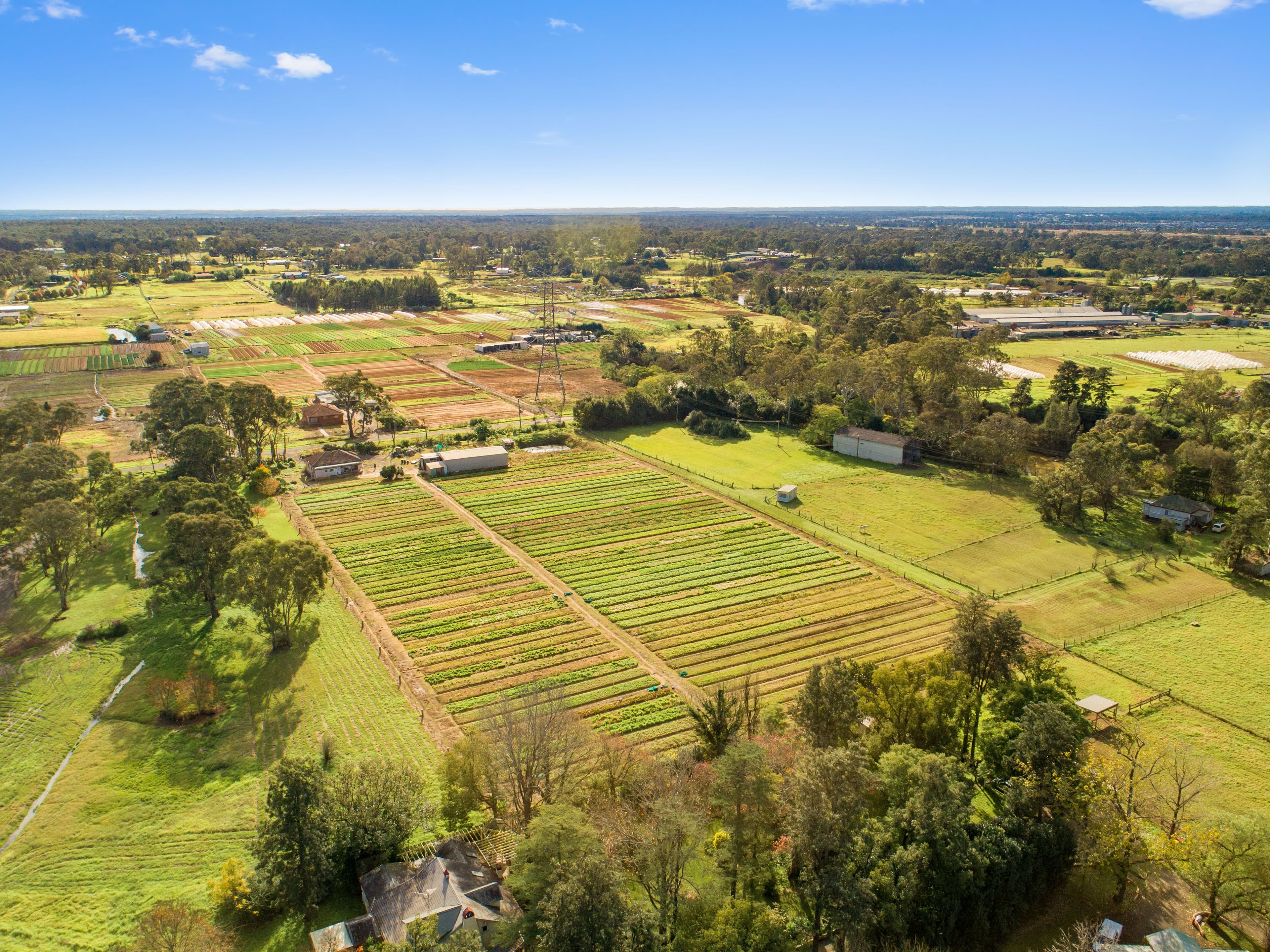 207 Sixth Avenue, Llandilo NSW 2747, Llandilo - Thumbnail 3