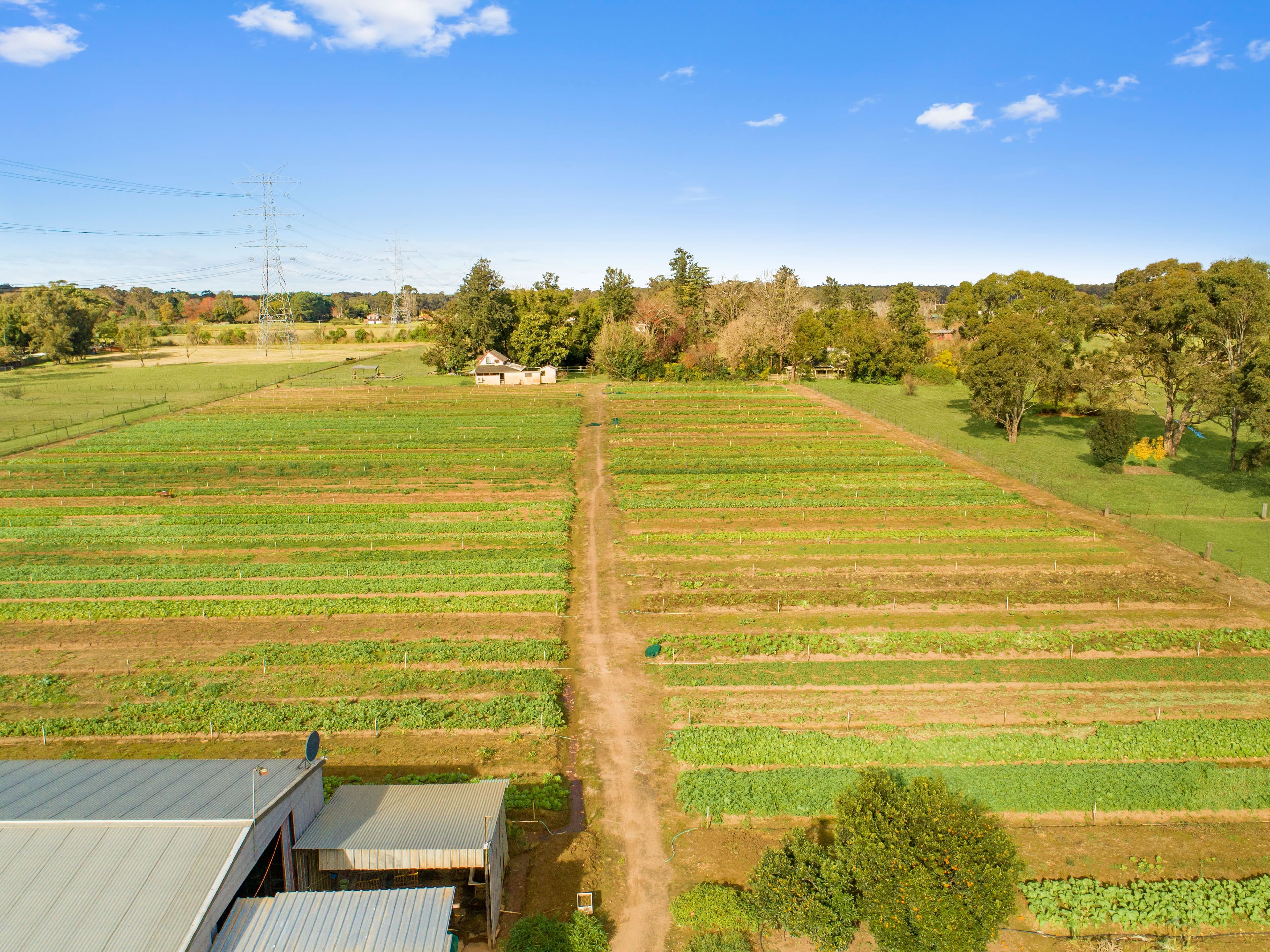 207 Sixth Avenue, Llandilo NSW 2747, Llandilo - Thumbnail 4