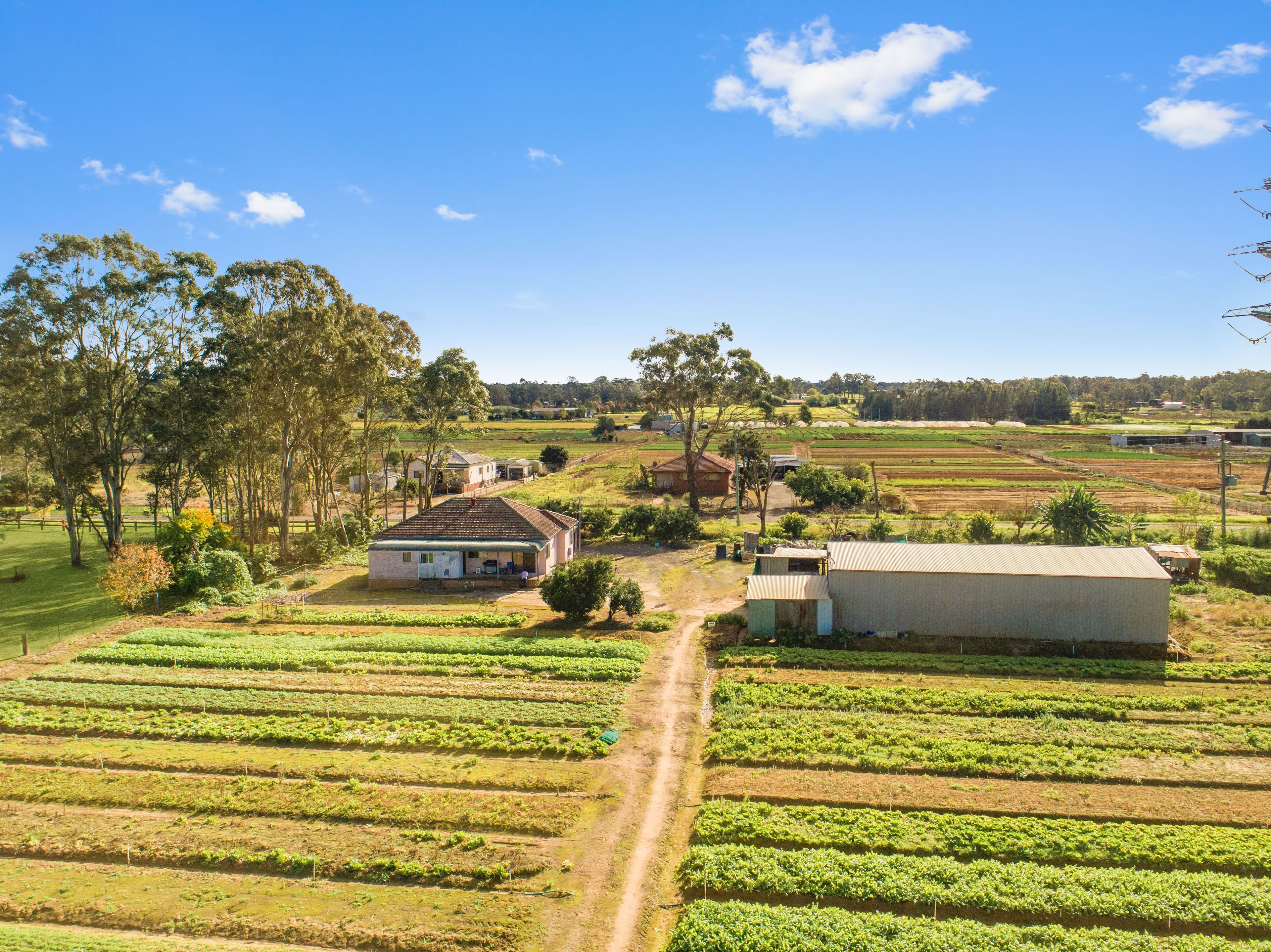 207 Sixth Avenue, Llandilo NSW 2747, Llandilo - Thumbnail 5