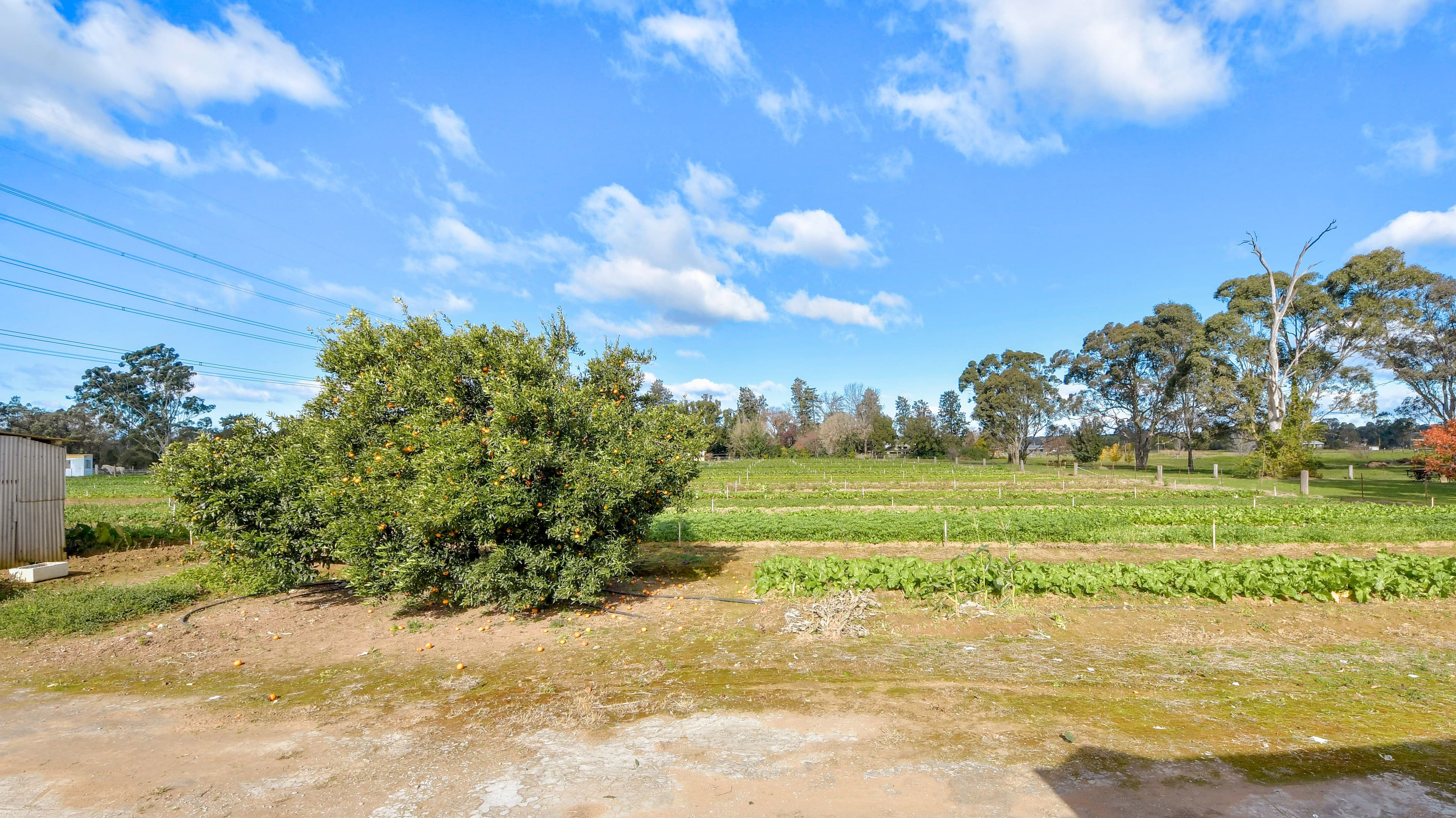 207 Sixth Avenue, Llandilo NSW 2747, Llandilo - Thumbnail 6