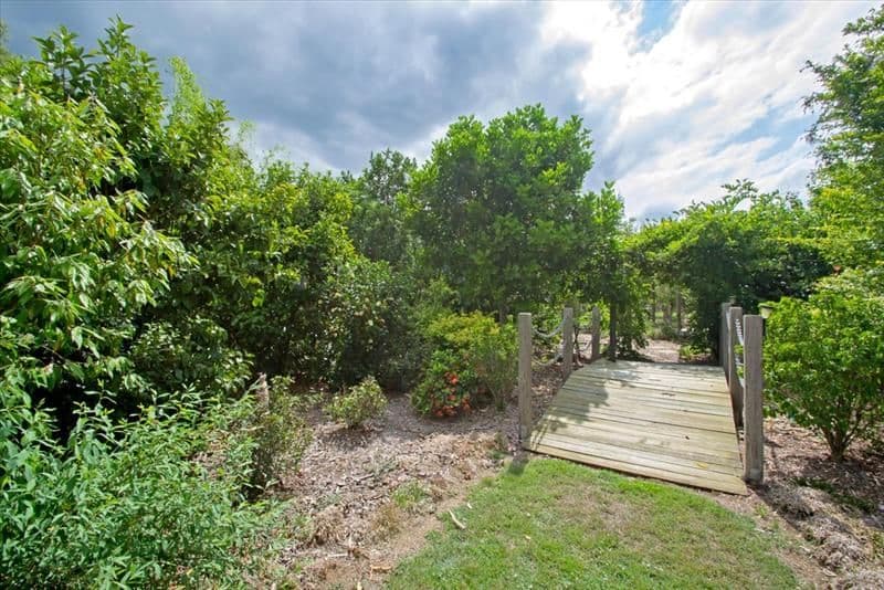 55 Poole Road, Fernvale QLD 4306, Fernvale - Thumbnail 3
