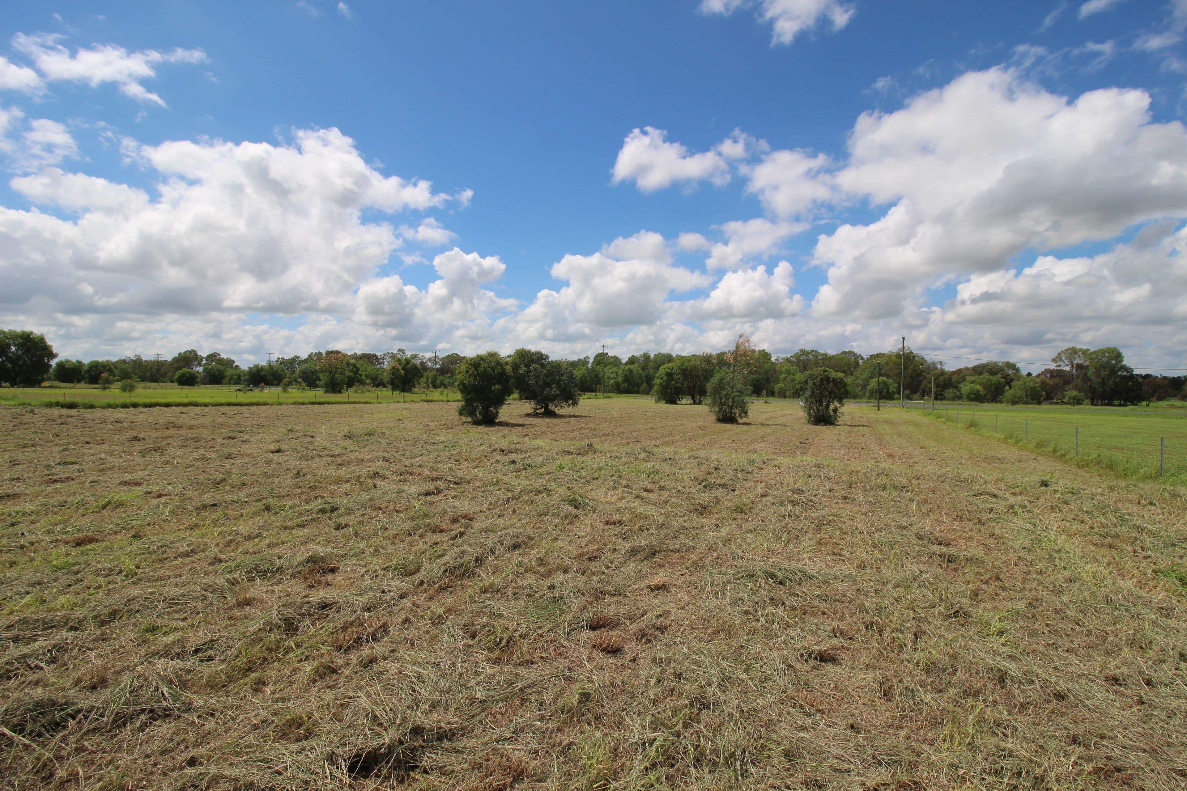Lot 7 Chudleigh Drive, Emerald QLD 4720, Emerald - Thumbnail 2