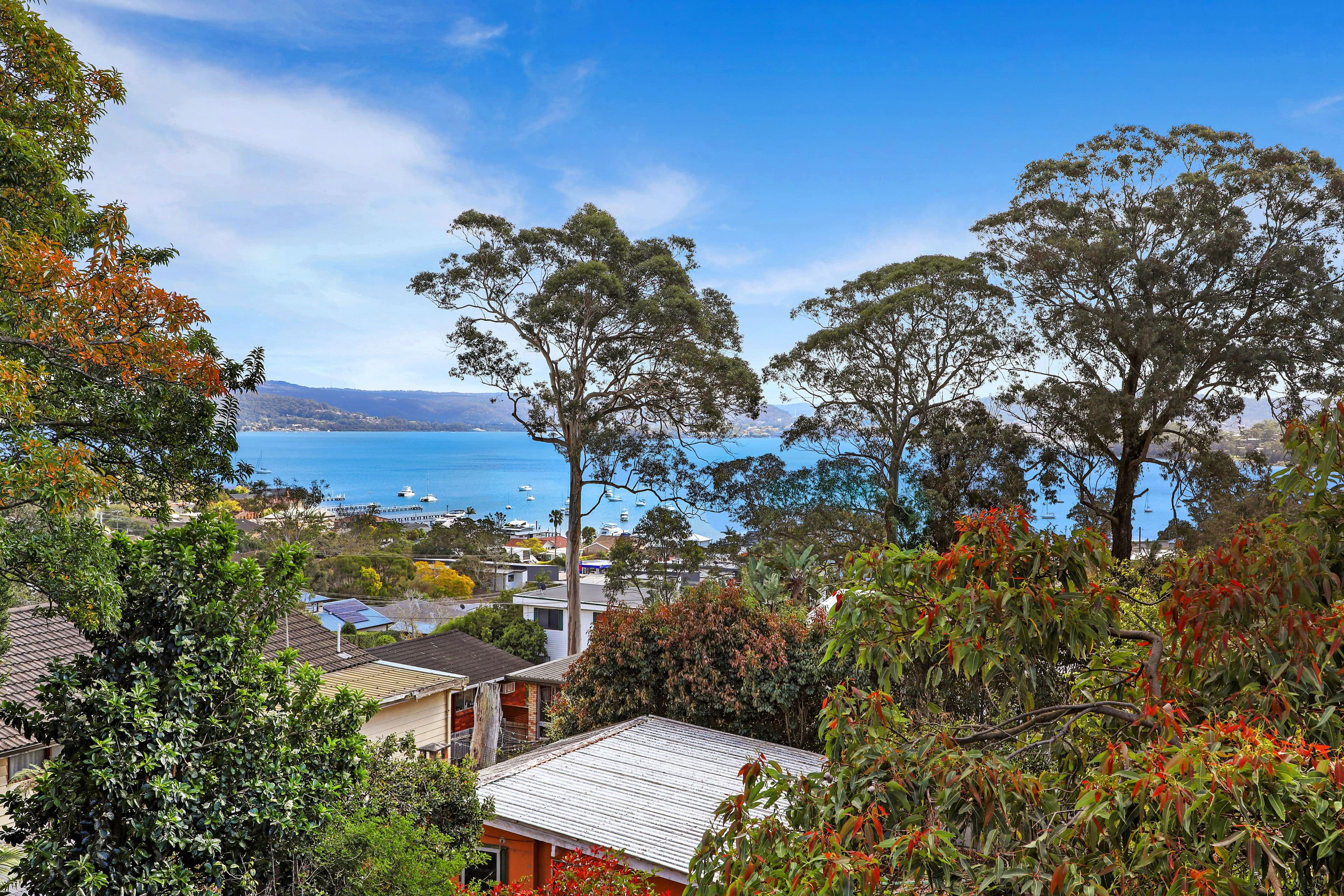 43 Shaw Street, Saratoga NSW 2251, Saratoga - Image 1