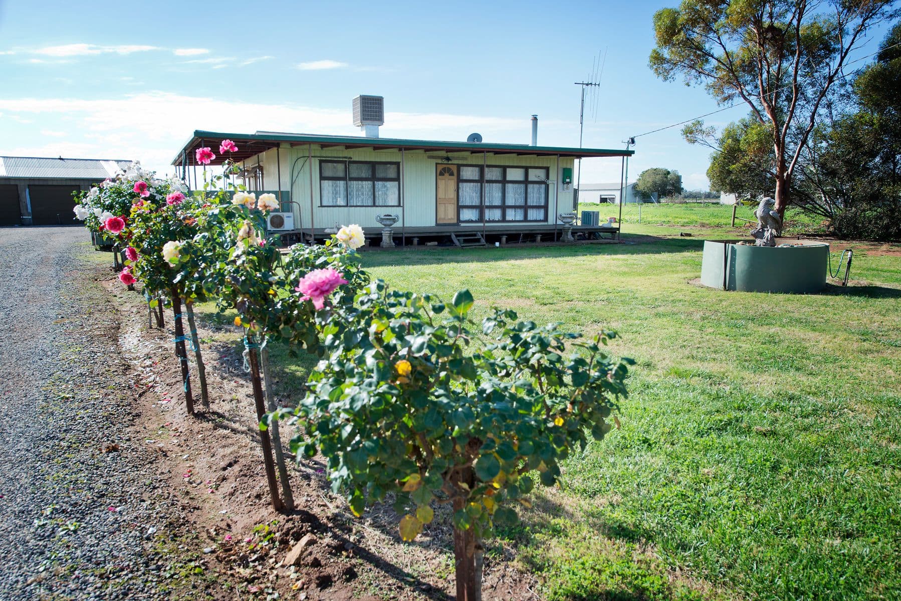 220 Lake Road, Woorinen VIC 3589, Woorinen - Image 1