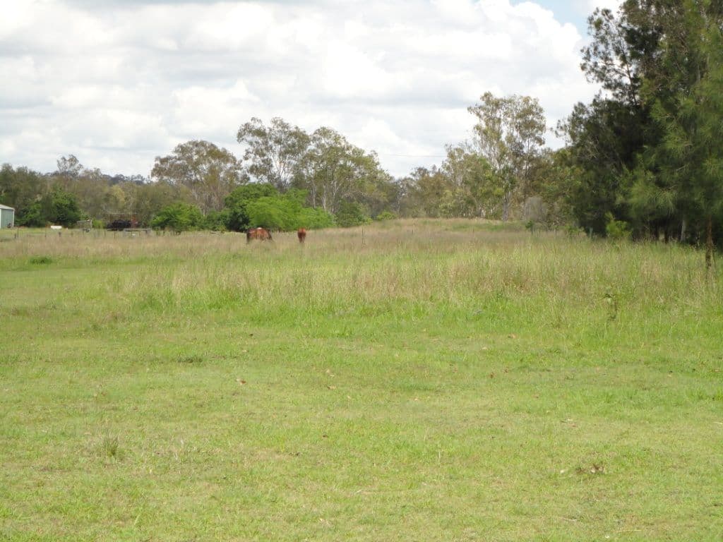 21 Keith Street, BUNDAMBA QLD 4304, Bundamba - Thumbnail 2