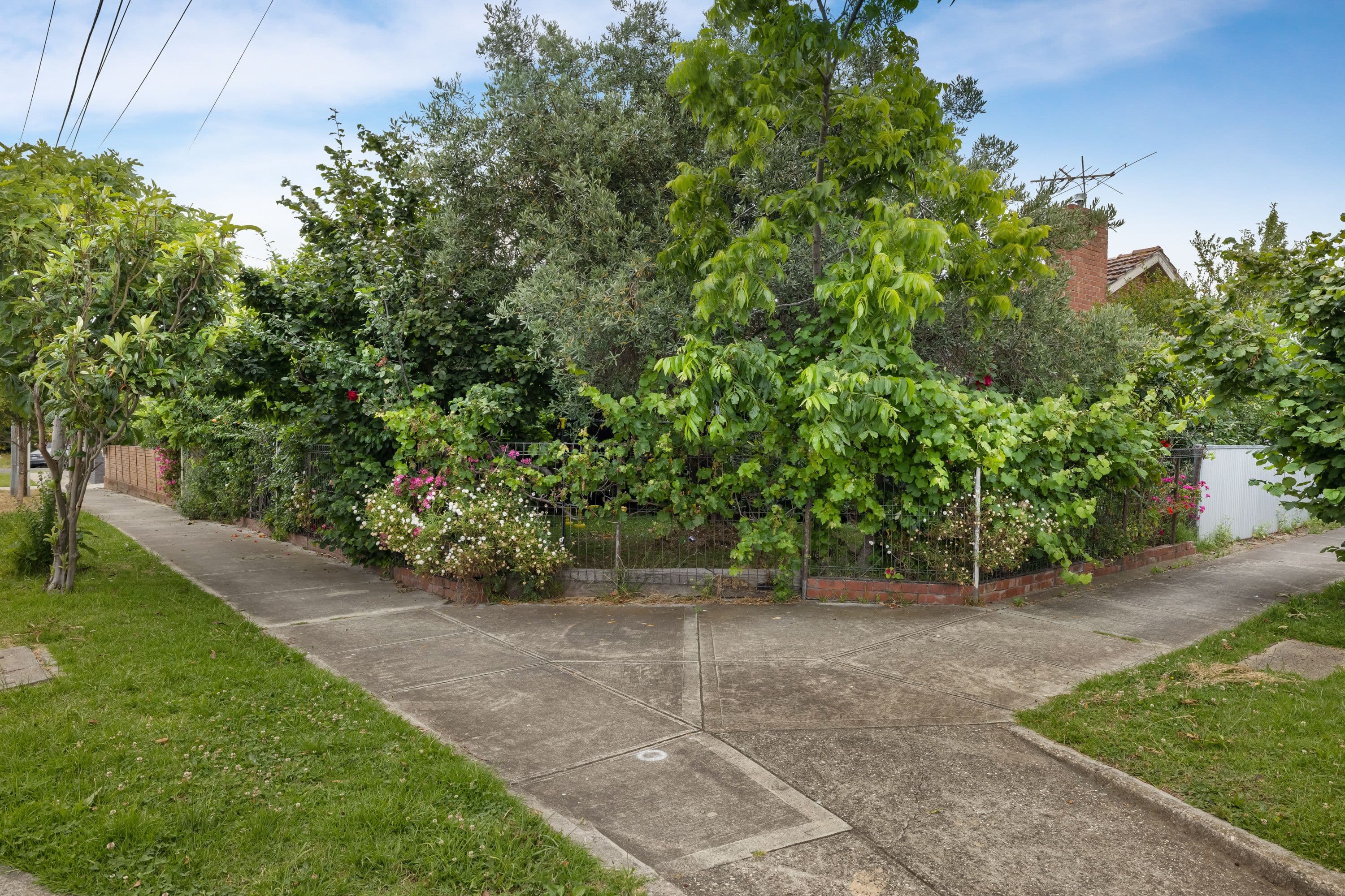 31 Ophir Street, Broadmeadows VIC 3047, Broadmeadows - Thumbnail 6