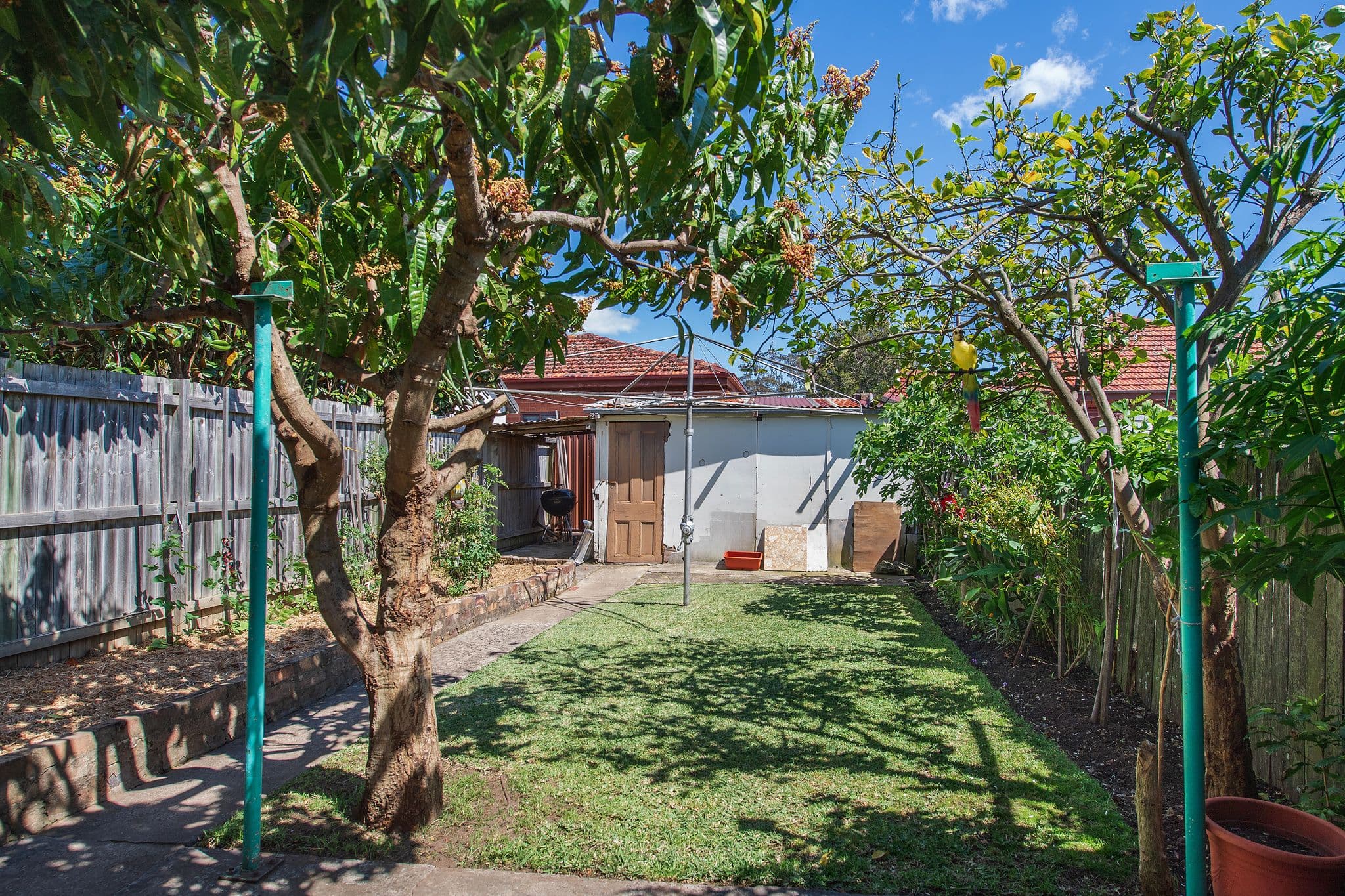 38 Harrison Street, Marrickville NSW 2204, Marrickville - Thumbnail 8