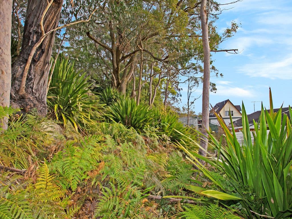 8 Yanagang Street, Waterfall NSW 2233, Waterfall - Thumbnail 6