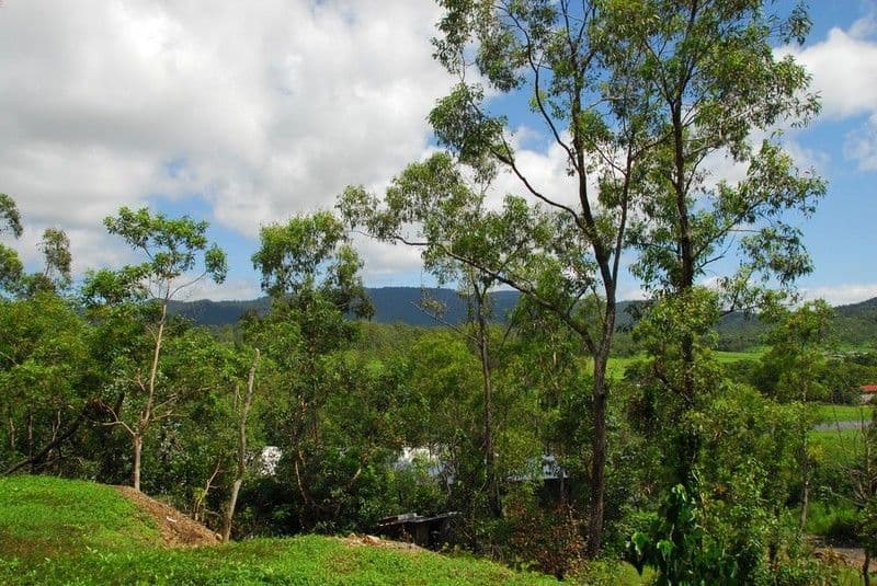1664 Shute Harbour Road, CANNONVALE QLD 4802, Cannonvale - Thumbnail 4