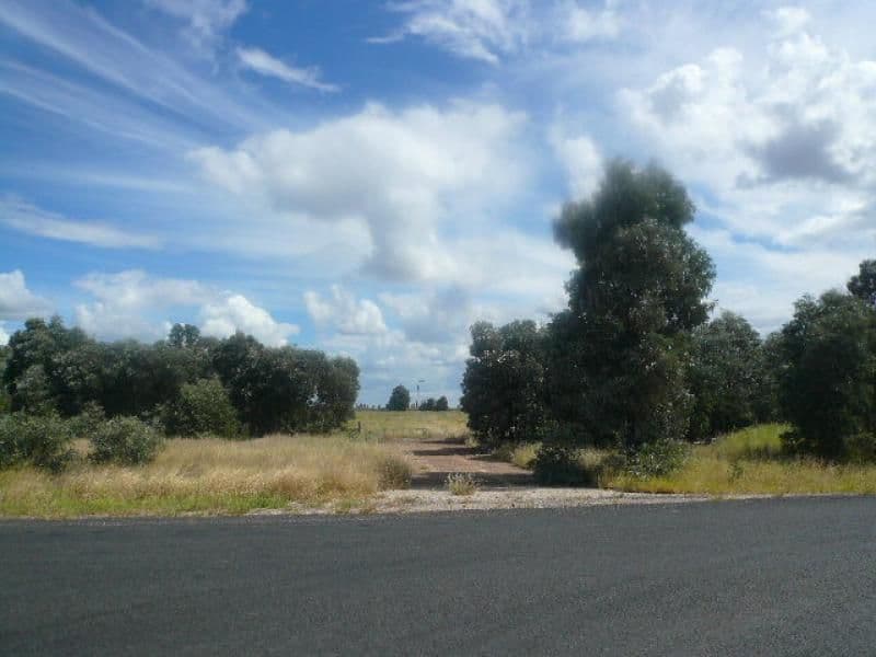 Lot 15 Western Road, Tara QLD 4421, Tara - Image 1