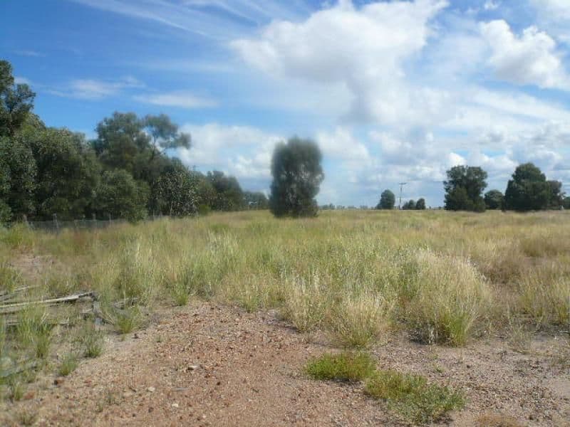 Lot 15 Western Road, Tara QLD 4421, Tara - Thumbnail 8
