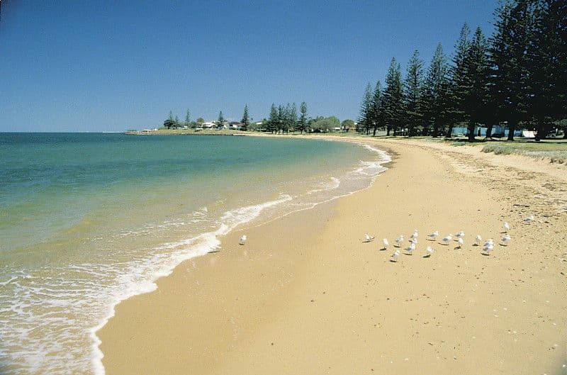 101 Dover Road, REDCLIFFE QLD 4020, Redcliffe - Thumbnail 8