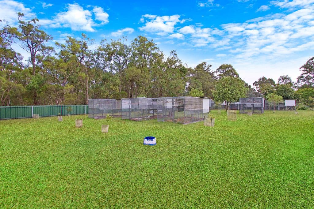 154 East Wilchard Road, Castlereagh - Thumbnail 5