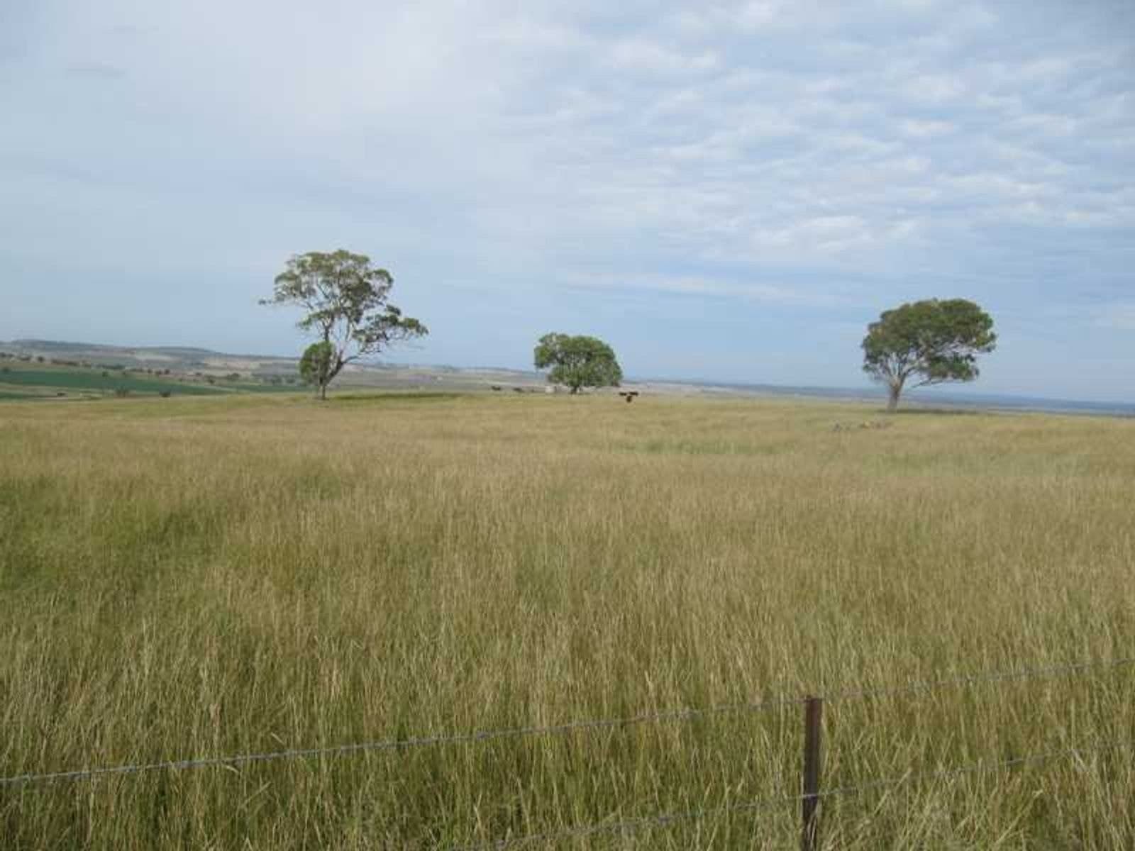 Allora QLD 4362, Allora - Thumbnail 4