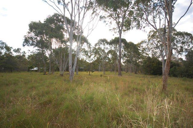 187 Eumarella Road, WEYBA DOWNS QLD 4562, Weyba Downs - Image 1