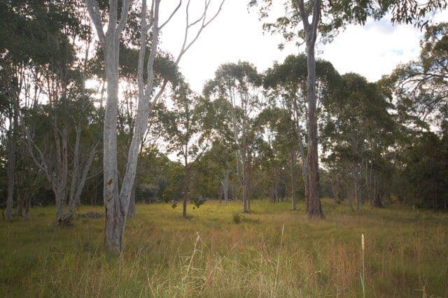 187 Eumarella Road, WEYBA DOWNS QLD 4562, Weyba Downs - Thumbnail 4