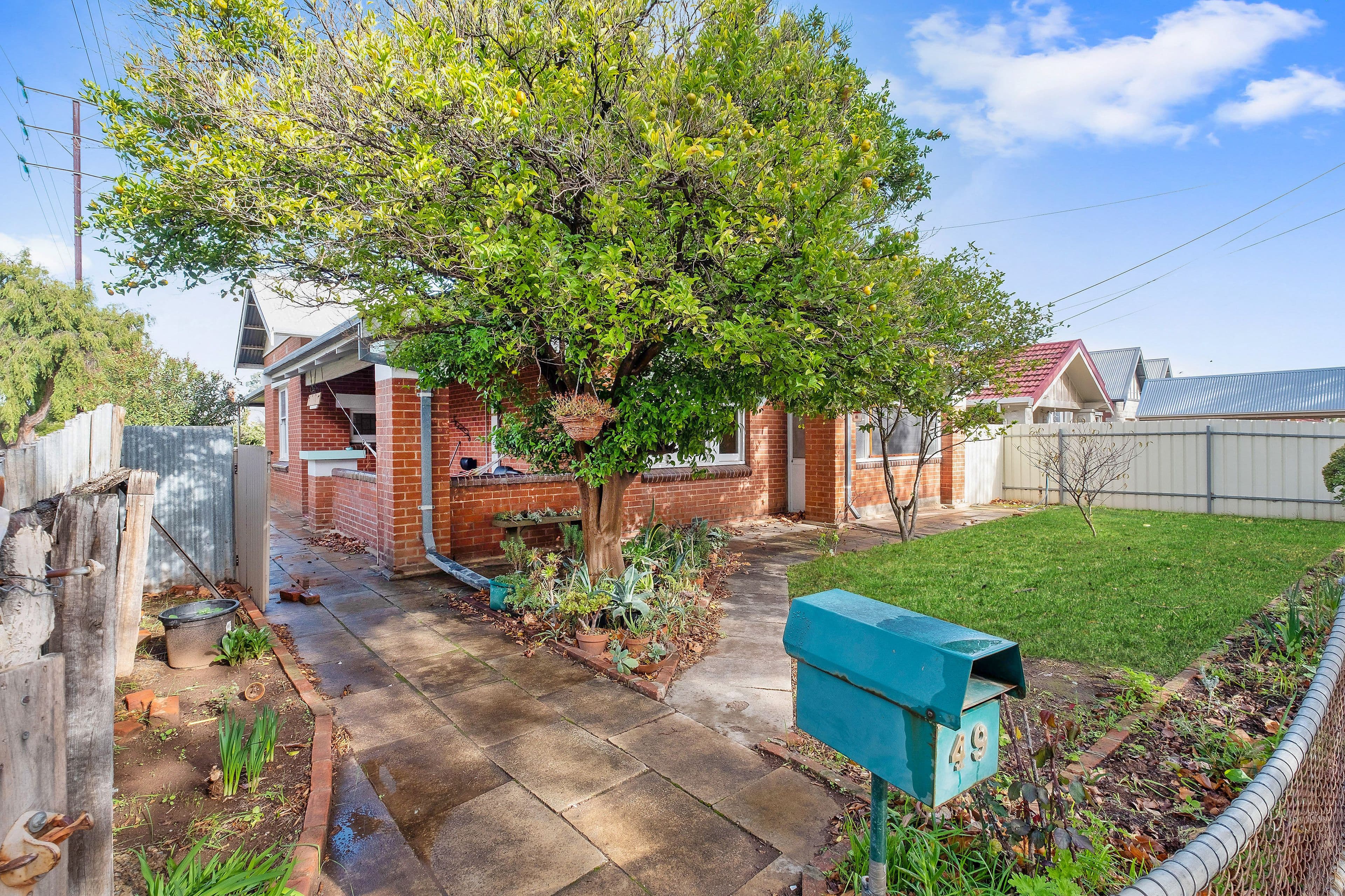 49 Euston Terrace, West Croydon SA 5008, West Croydon - Thumbnail 2
