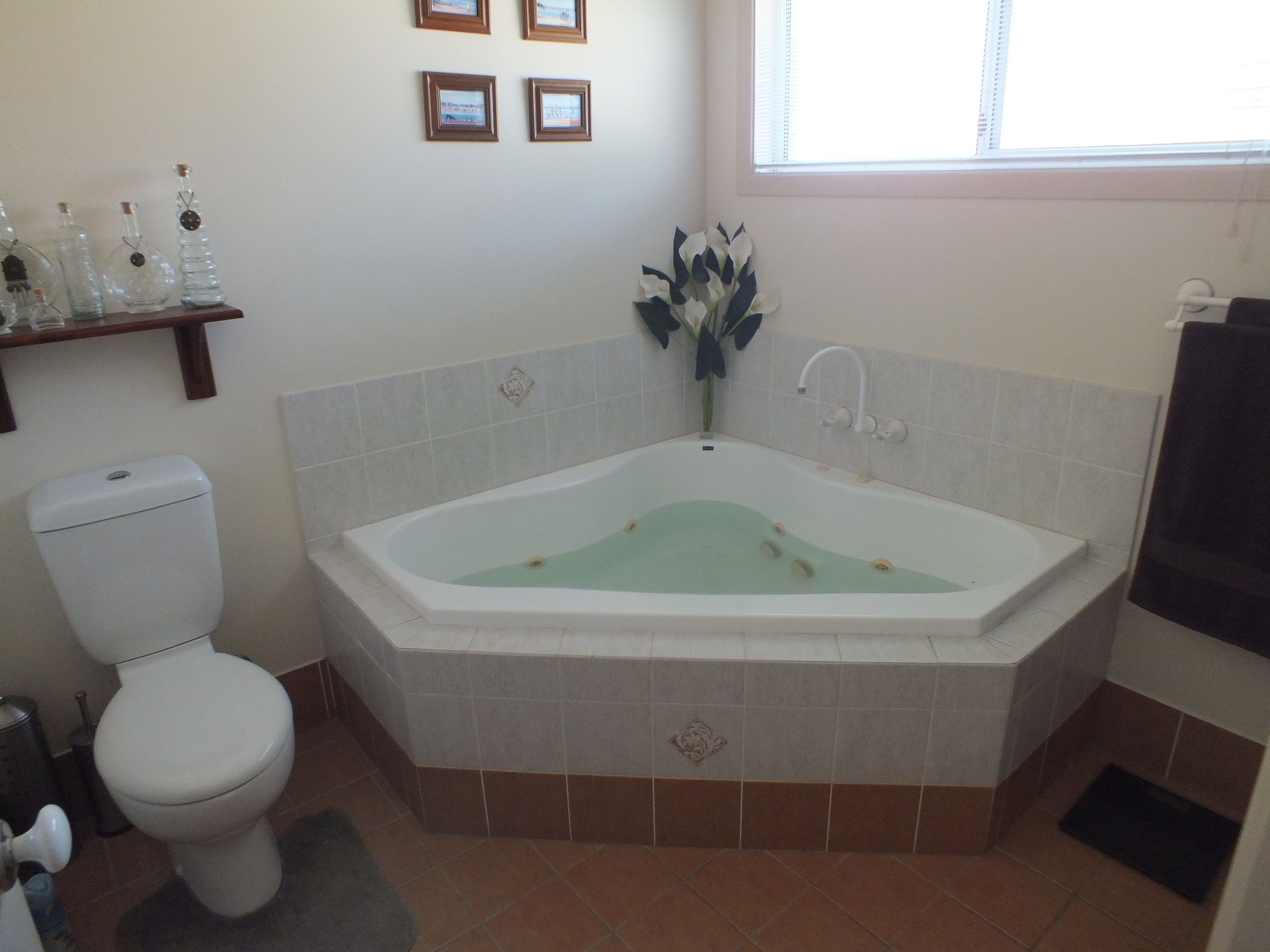 9 Leeward Place, Banksia Beach QLD 4507, Banksia Beach - Thumbnail 8