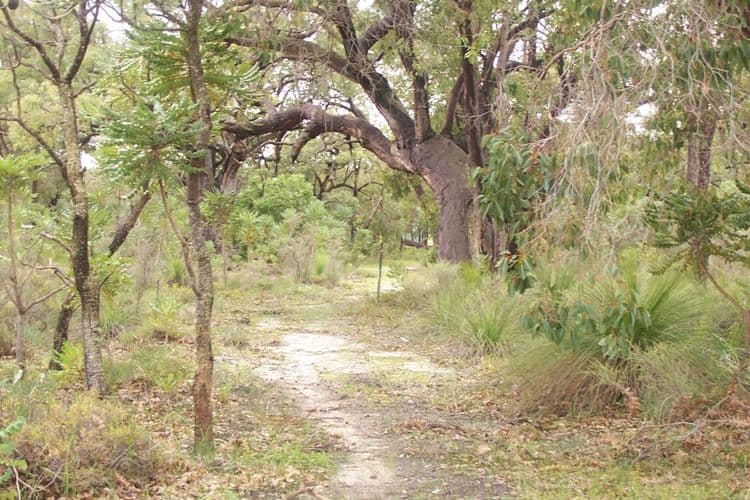 Lot 310 Patersonia Road, CHITTERING WA 6084, Chittering - Thumbnail 2