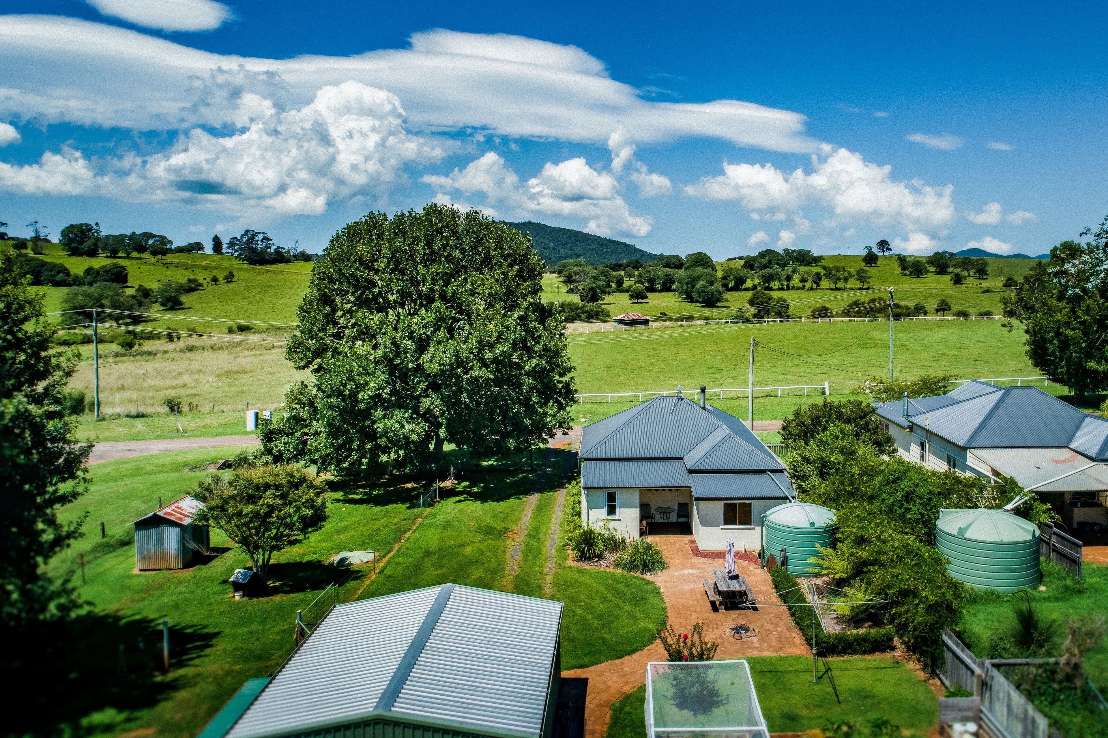 11 Rawson Street, Dorrigo NSW 2453, Dorrigo - Thumbnail 8