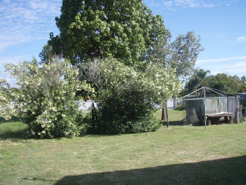 35 King Street, CHARLEVILLE QLD 4470, Charleville - Thumbnail 4