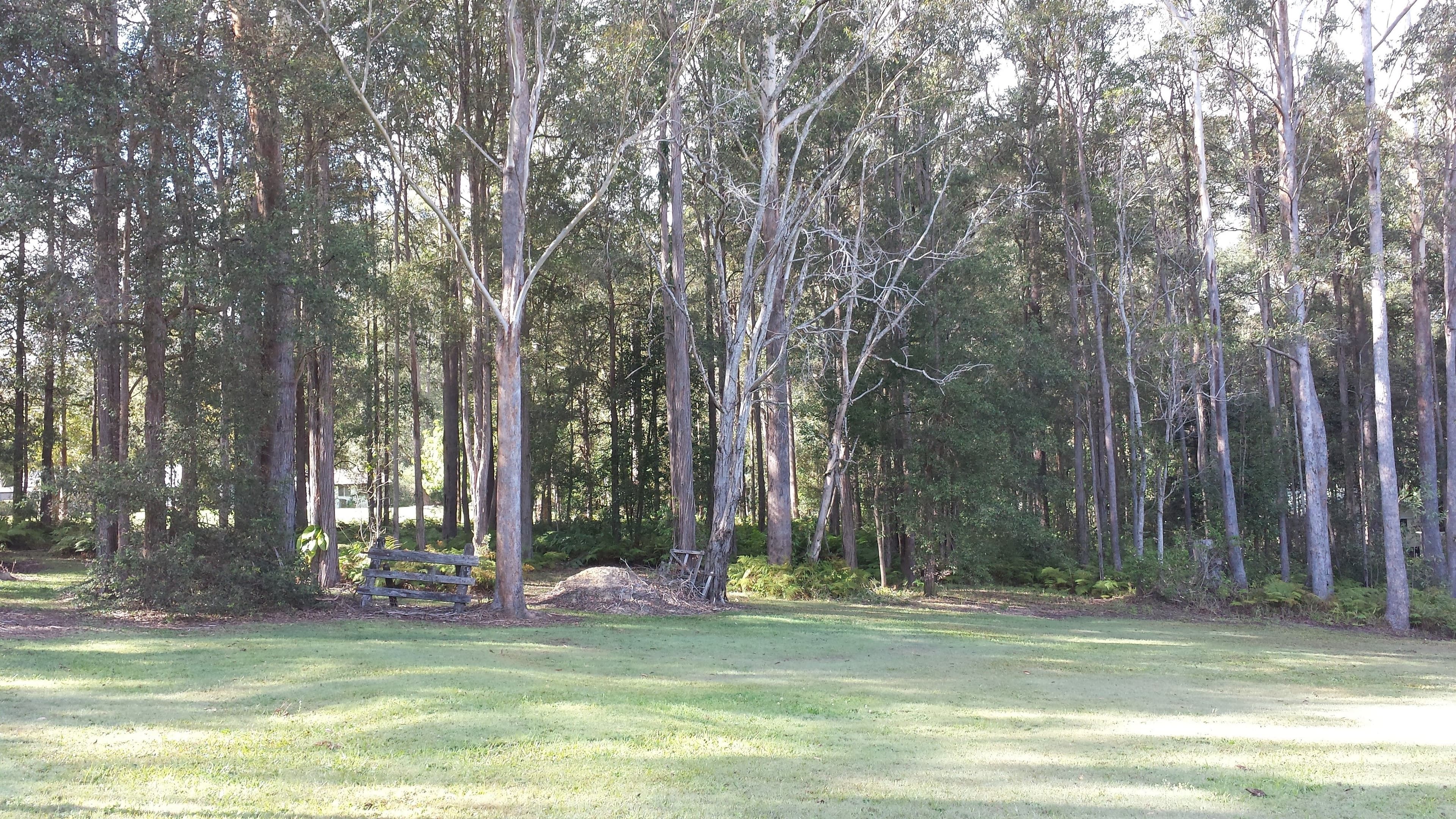 72 Baker Finch Avenue, Peachester QLD 4519, Peachester - Thumbnail 3