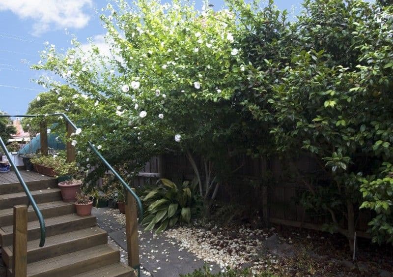 54 Orana Drive, WATSONIA VIC 3087, Watsonia - Thumbnail 7