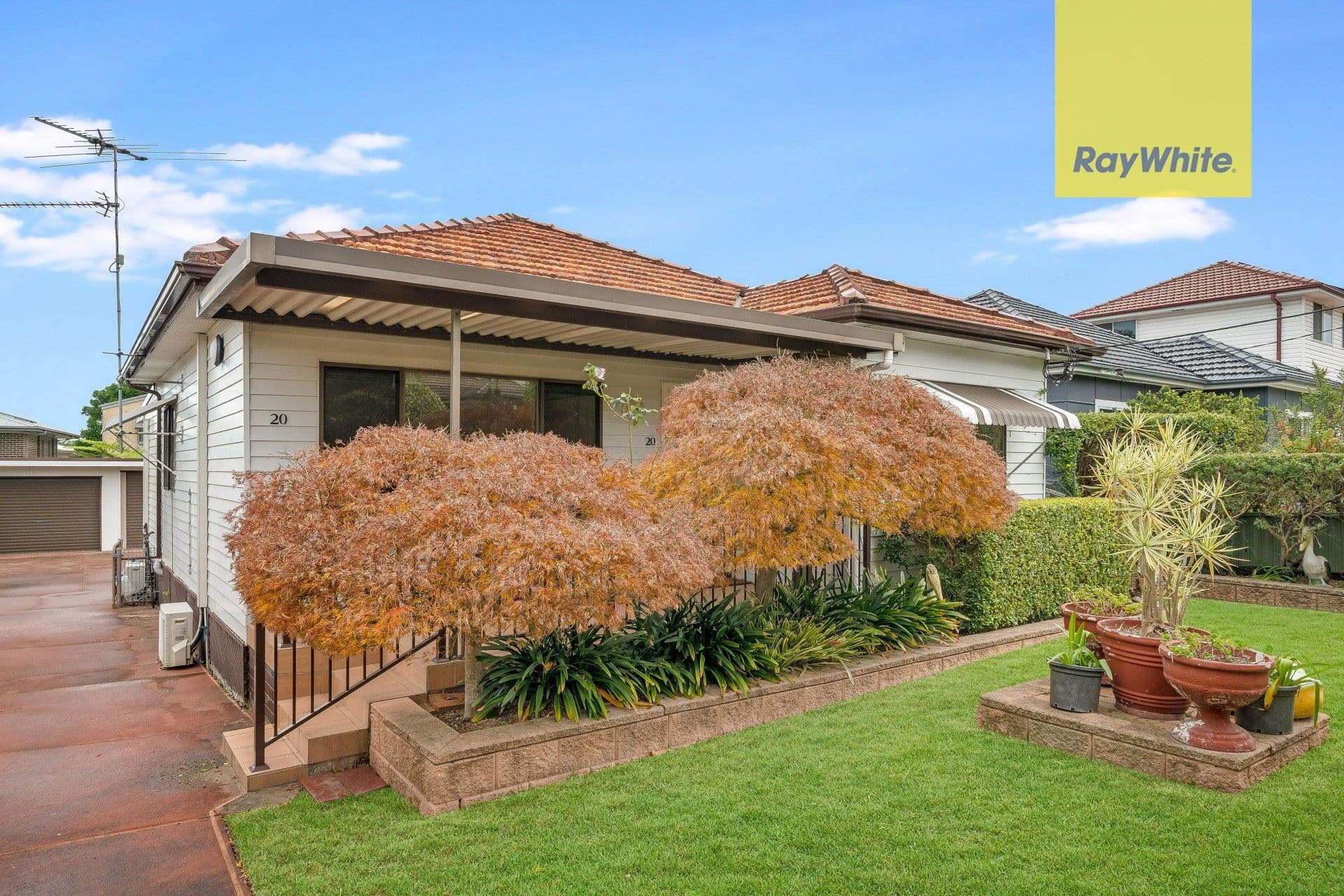 20 Hayes Avenue, Northmead NSW 2152, Northmead - Image 1
