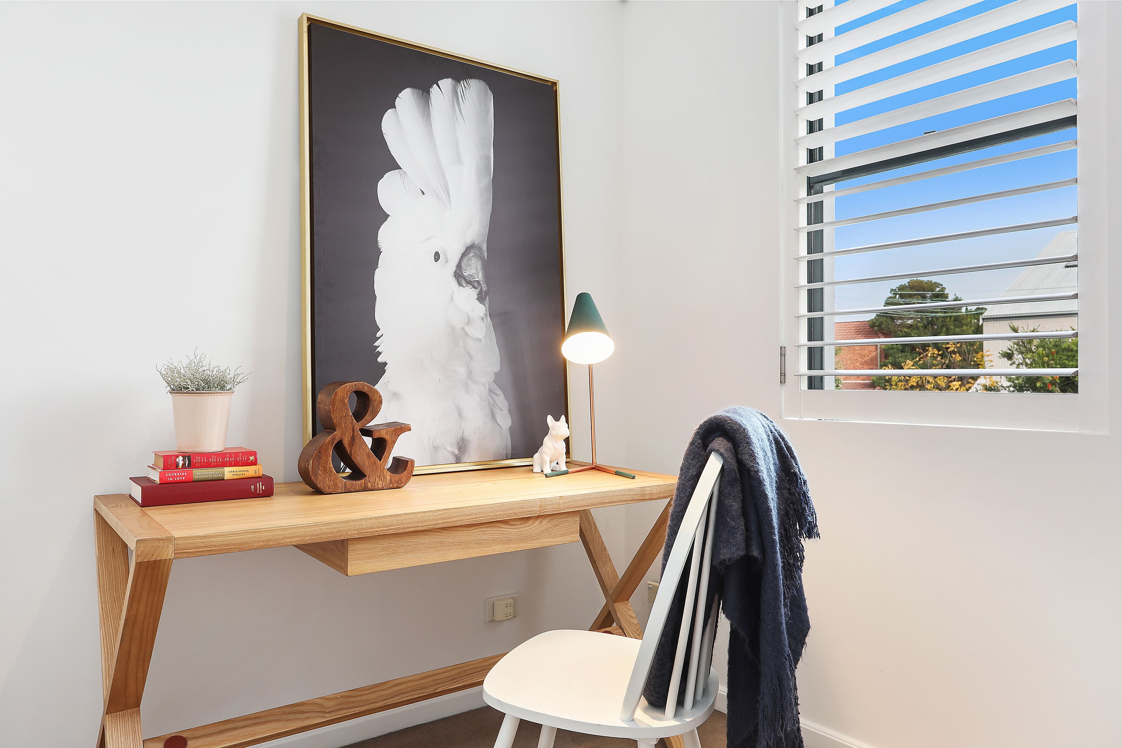 5 Alfred Street, Lilyfield - Thumbnail 6