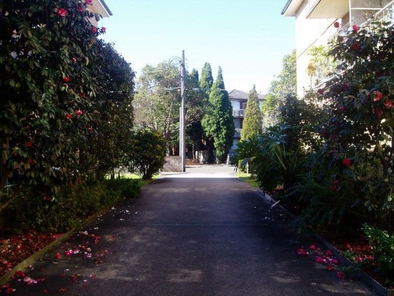 24 Chandos Street, ASHFIELD NSW 2131, Ashfield - Thumbnail 4
