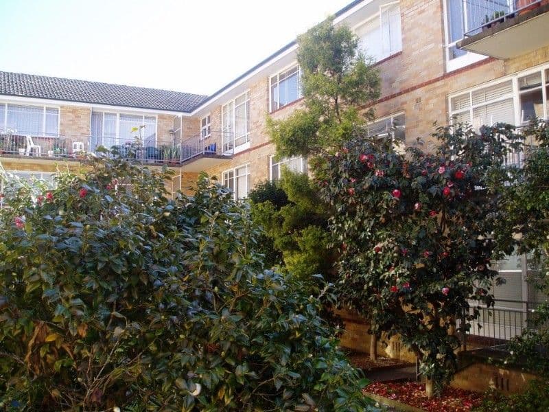 24 Chandos Street, ASHFIELD NSW 2131, Ashfield - Thumbnail 7