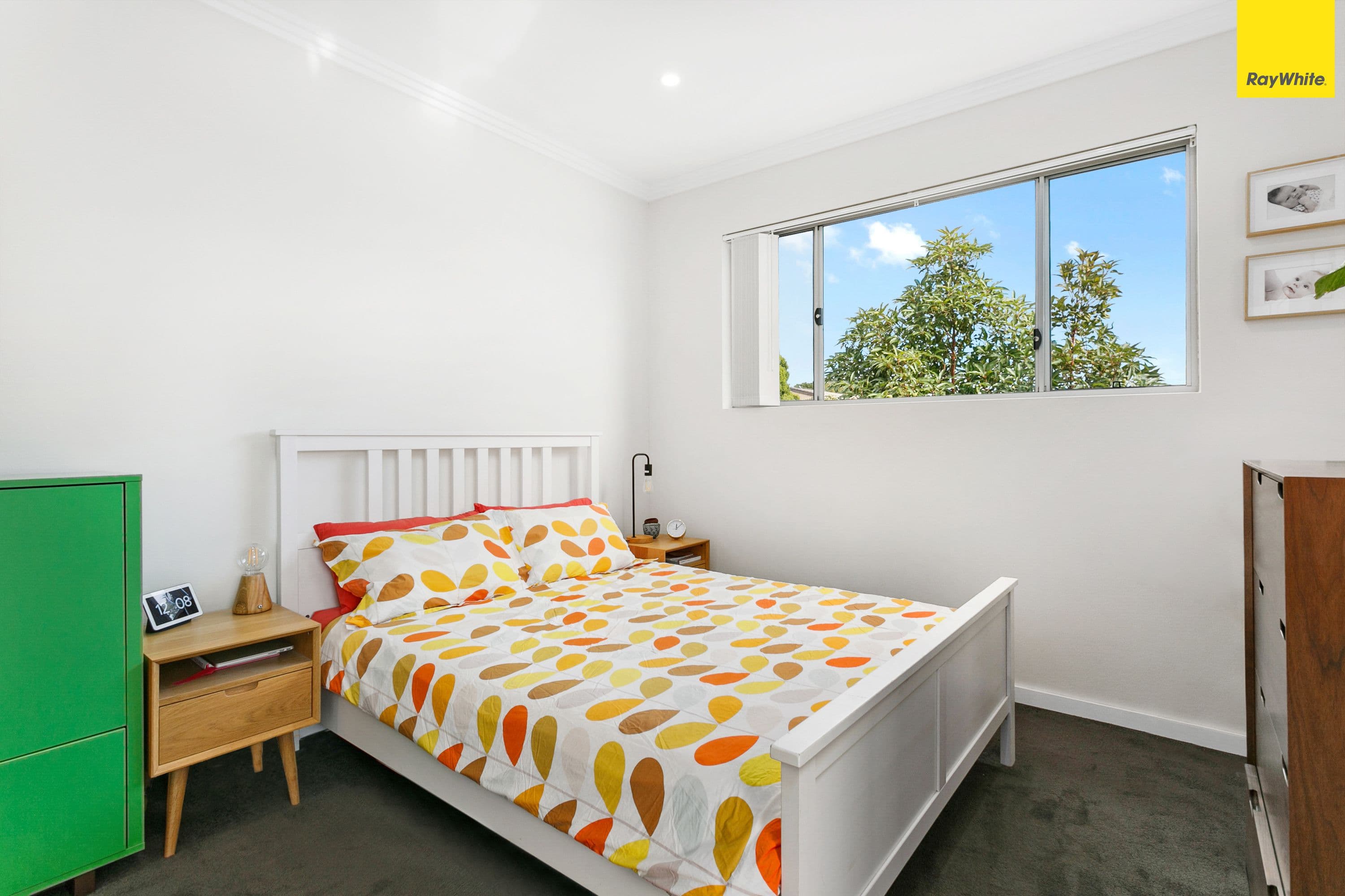 20 Wonga Street, Canterbury NSW 2193, Canterbury - Thumbnail 7