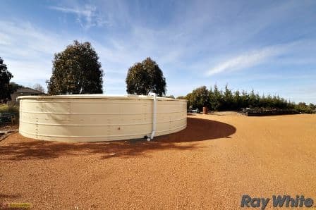 11 Balemo Drive, Ocean Shores, NSW, 2483, Ocean Shores - Thumbnail 3