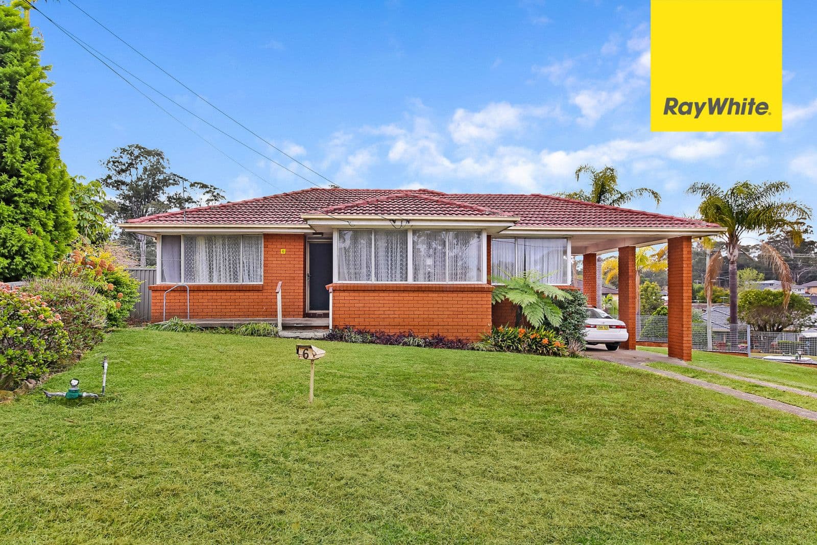 6 Carnation Street, Greystanes - Image 1